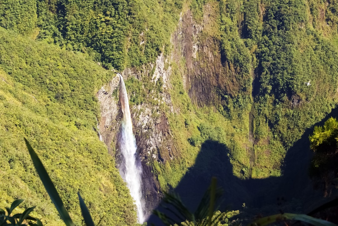 waterfalls in the middle of green trees