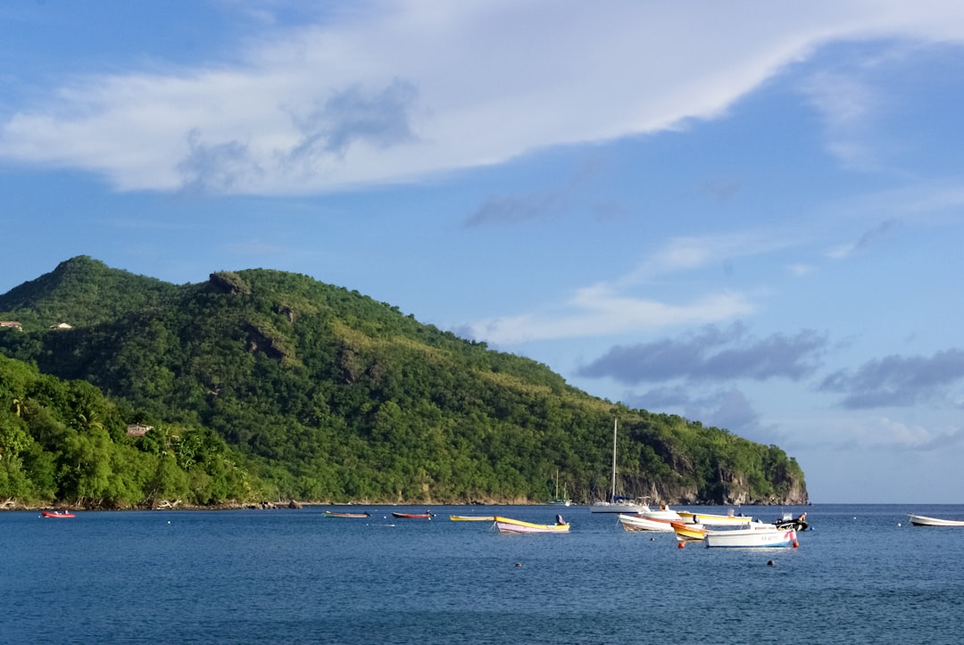 white boat on sea near green mountain under blue sky during daytime