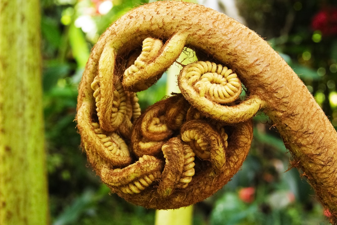 brown rope in tilt shift lens