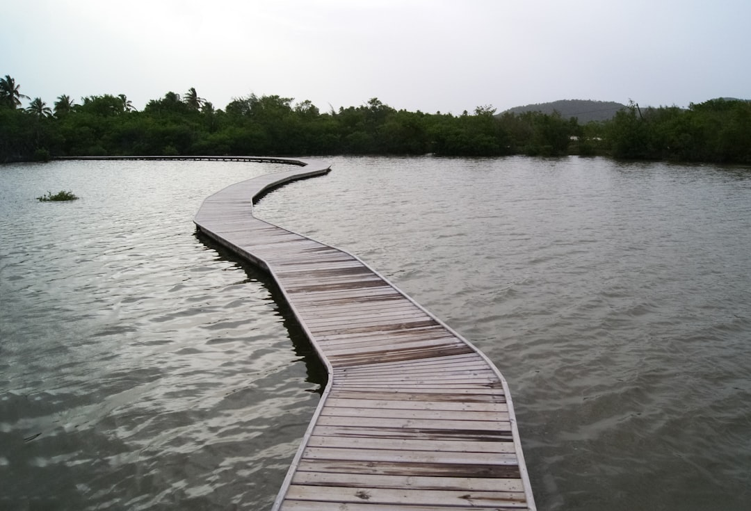 brown wooden dock on body of water during daytime