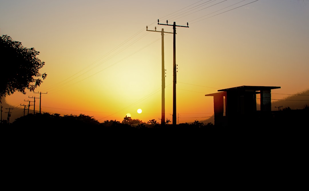 silhouette of trees and post during sunset