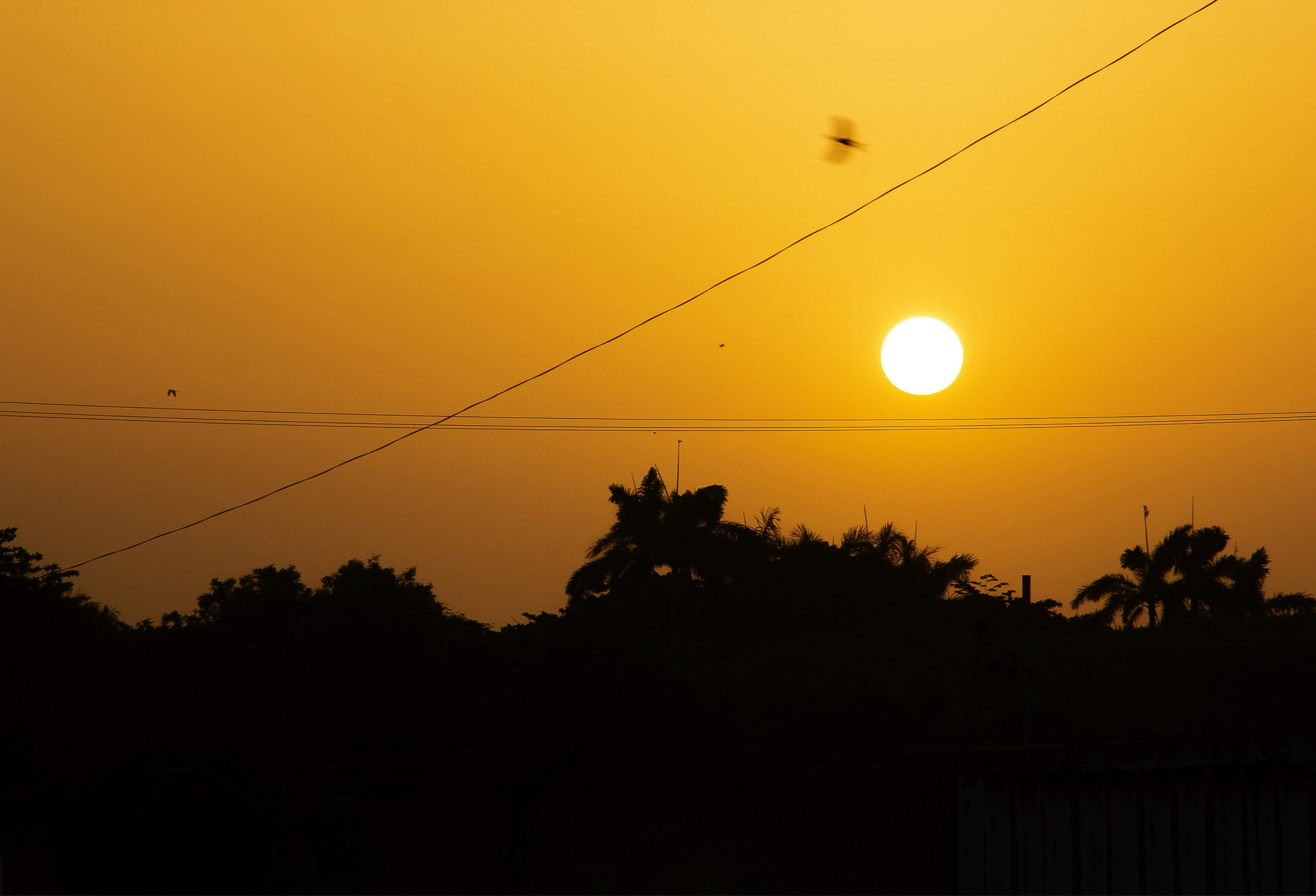 trip gallery picture