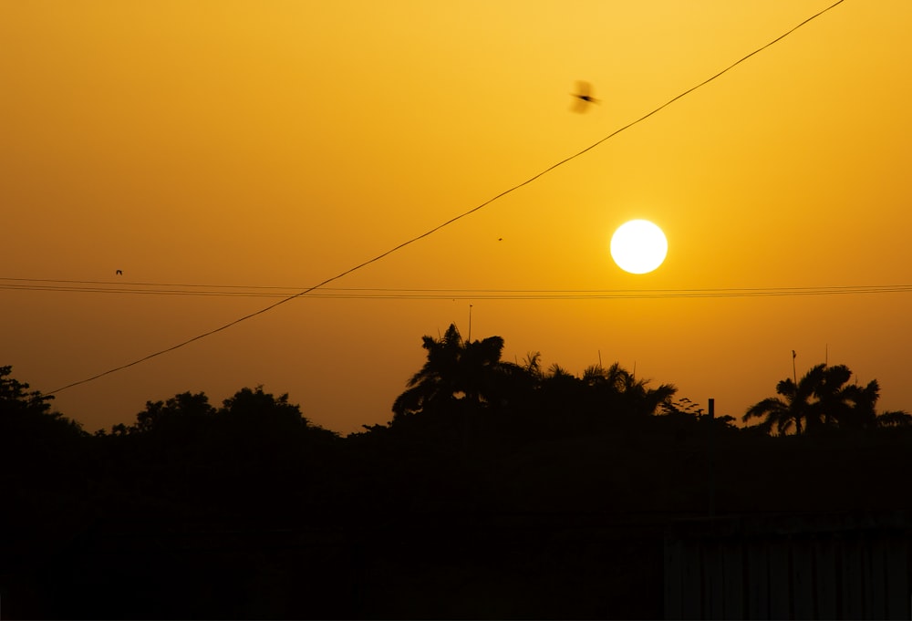 sun over green trees during sunset