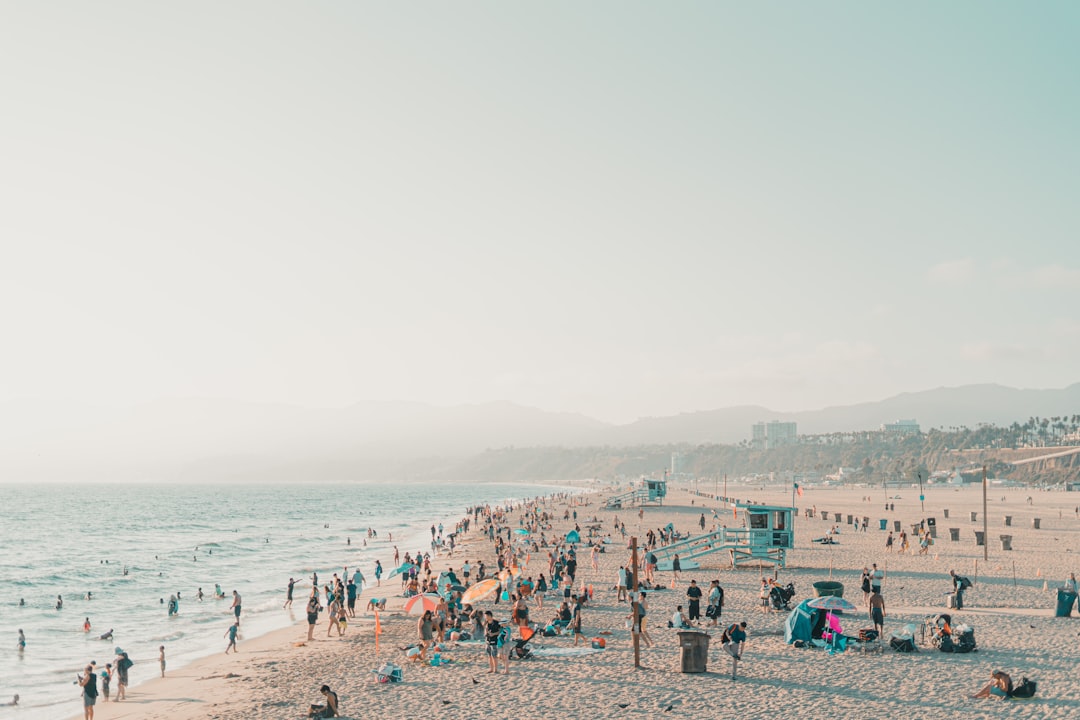 people on beach during daytime