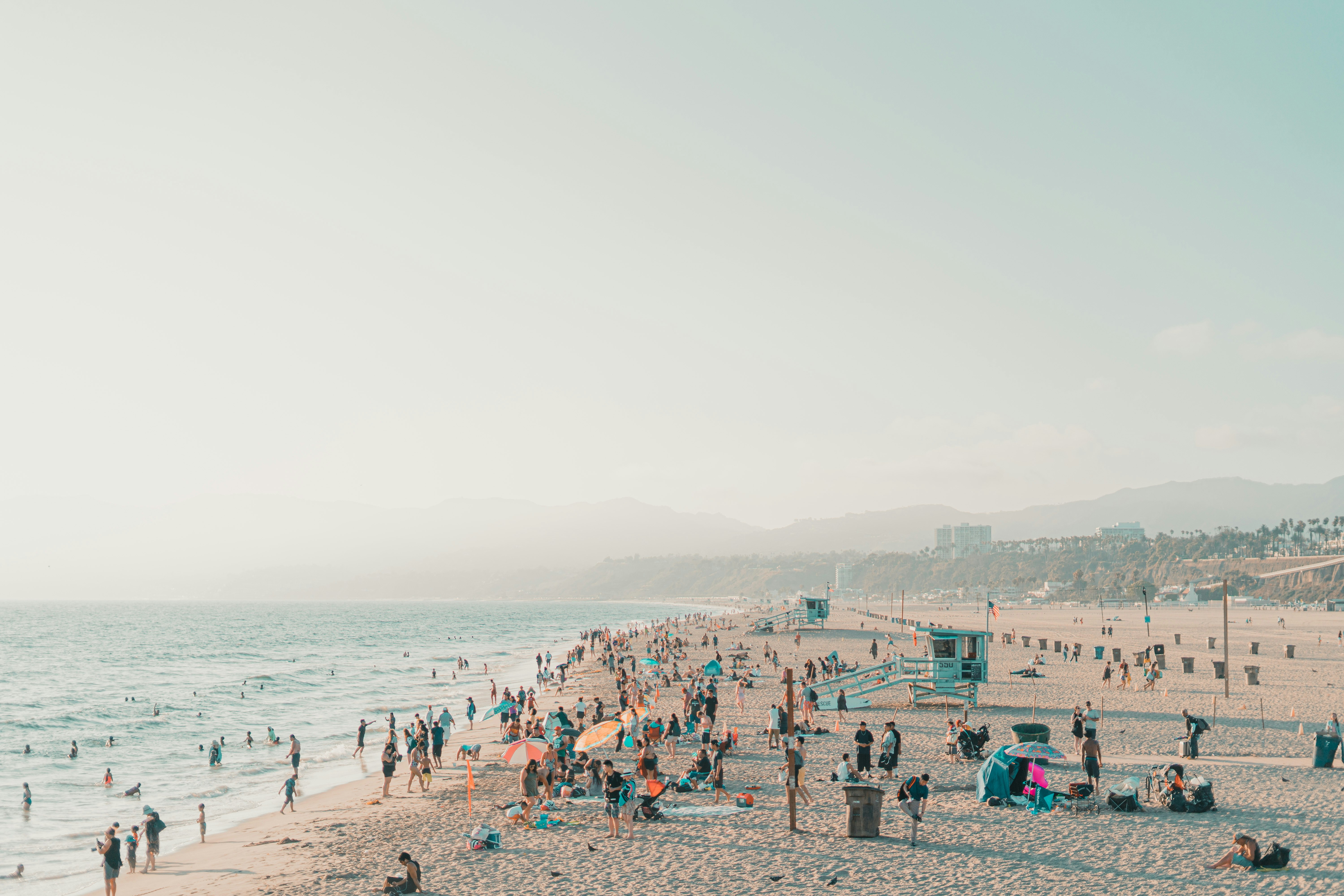 people on beach during daytime