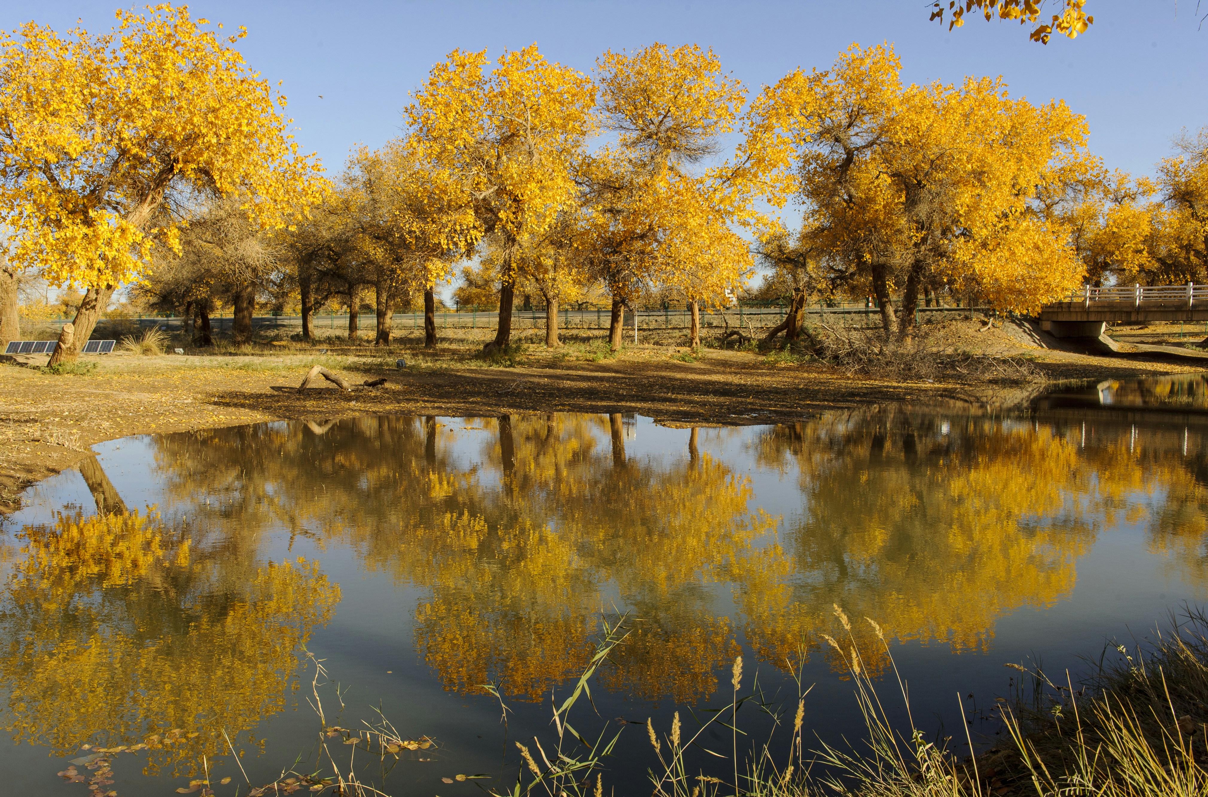 Image by Sammy Wong via Unsplash