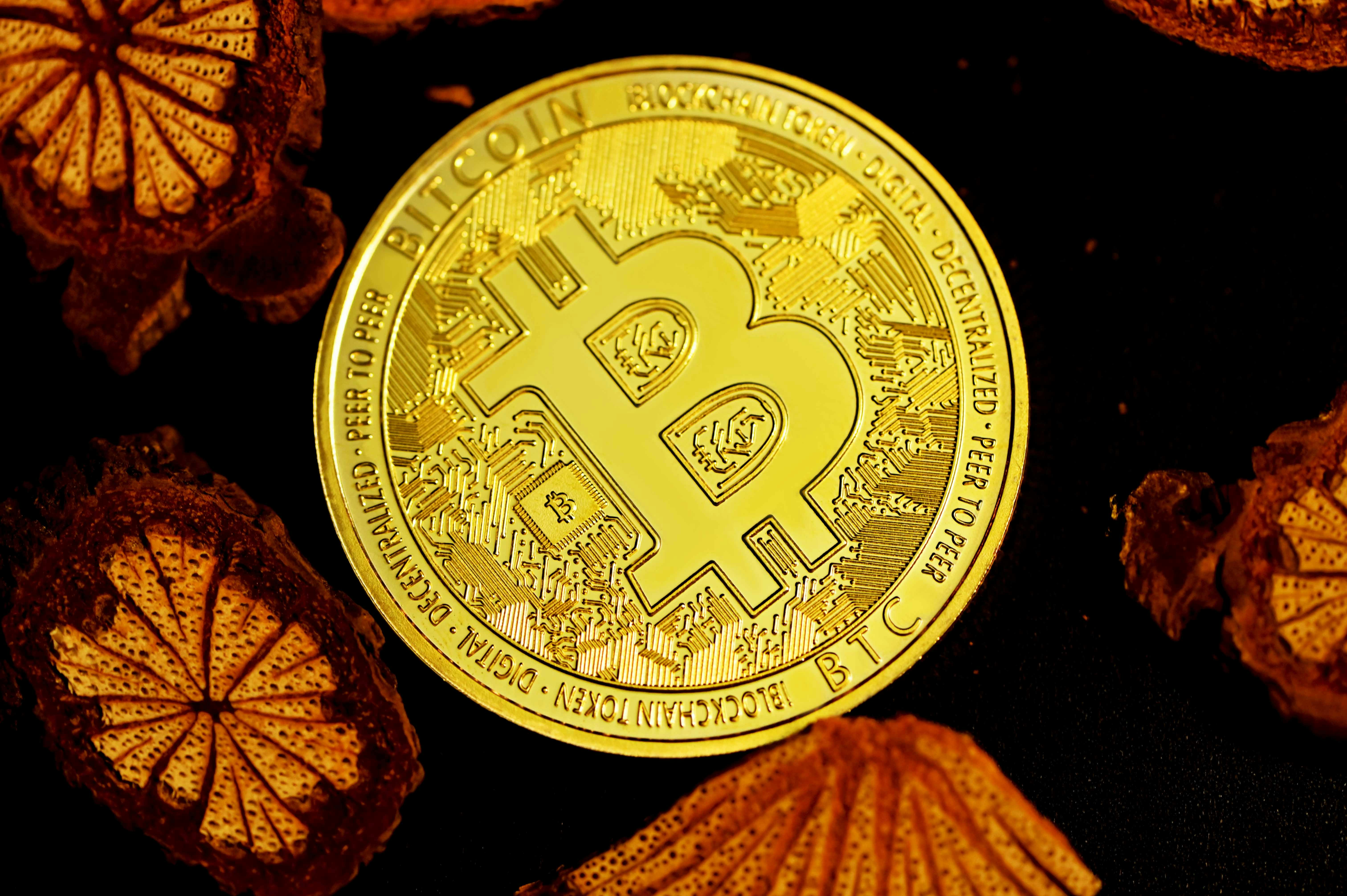 A bitcoin surrounded by wood decorations