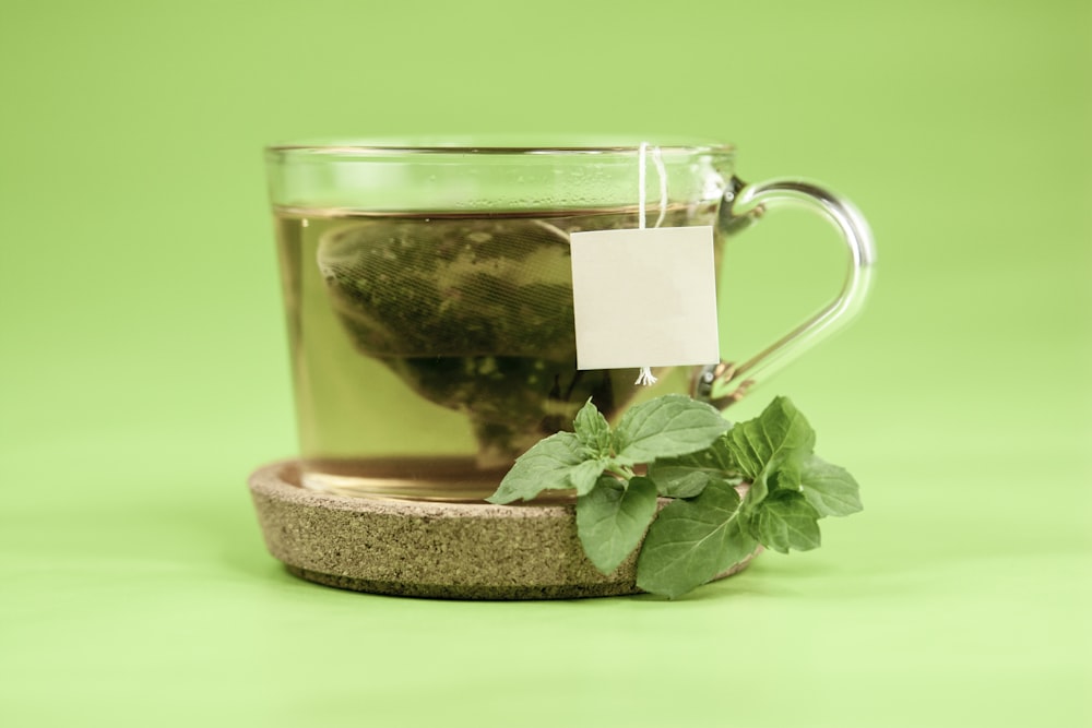 clear glass mug with green leaves