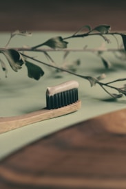 A wooden toothbrush with black bristles is placed on a soft green surface with a small amount of toothpaste on it. In the background, there are delicate branches with leaves, creating a natural and rustic ambiance.