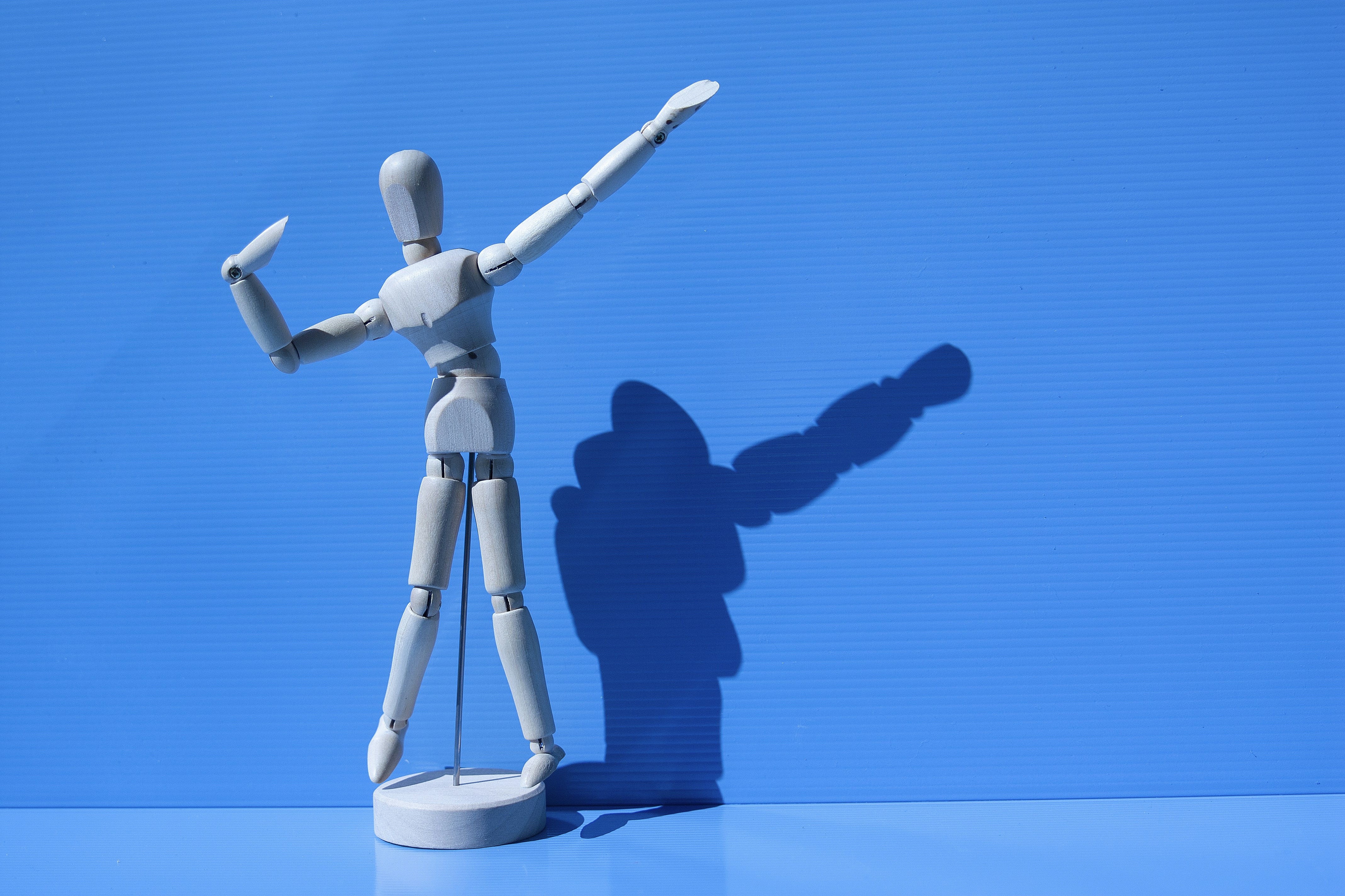 Photo by laarkstudio