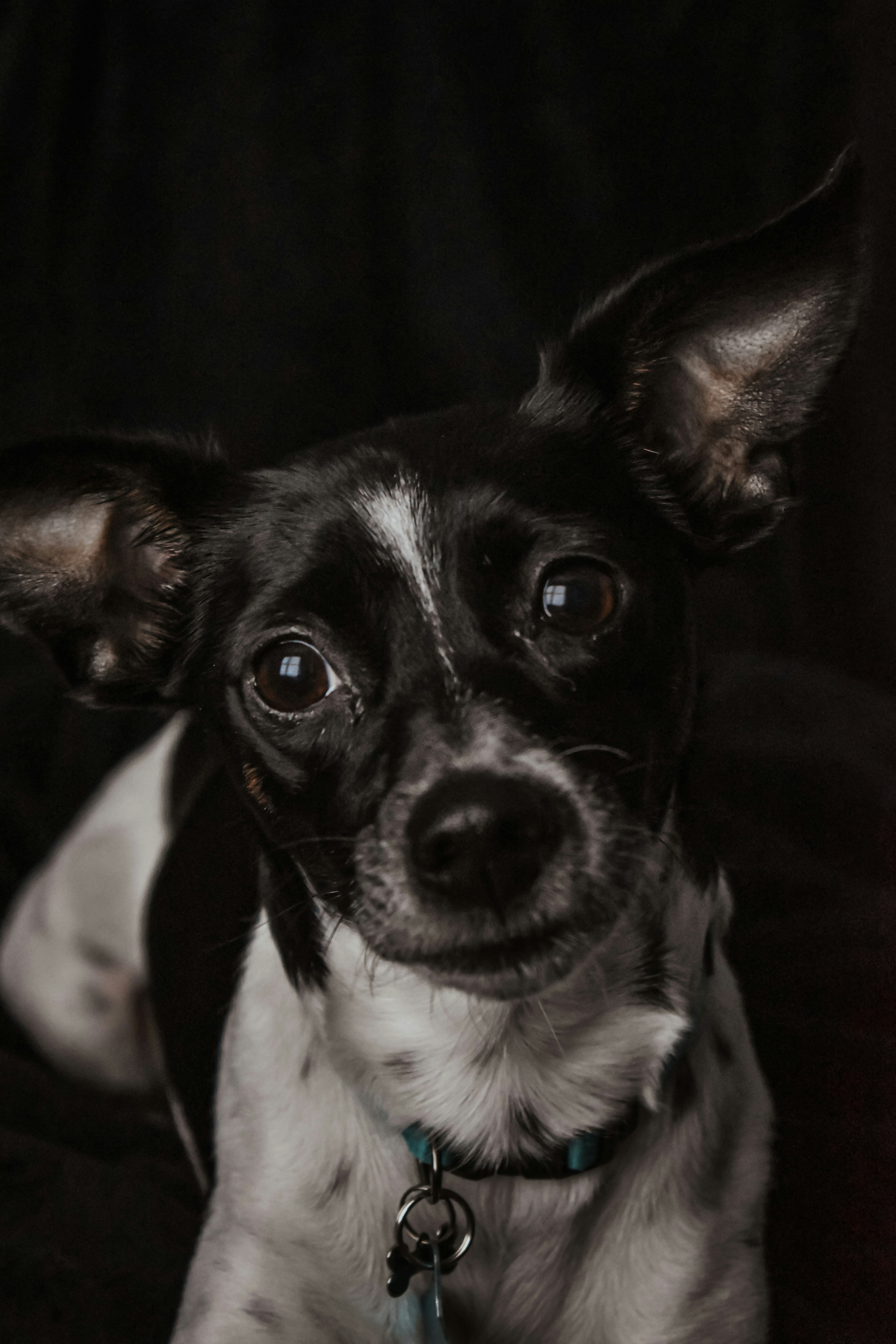 Photo by kaleb_becker