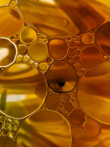 Macro view of golden oil bubbles floating in water with warm amber tones