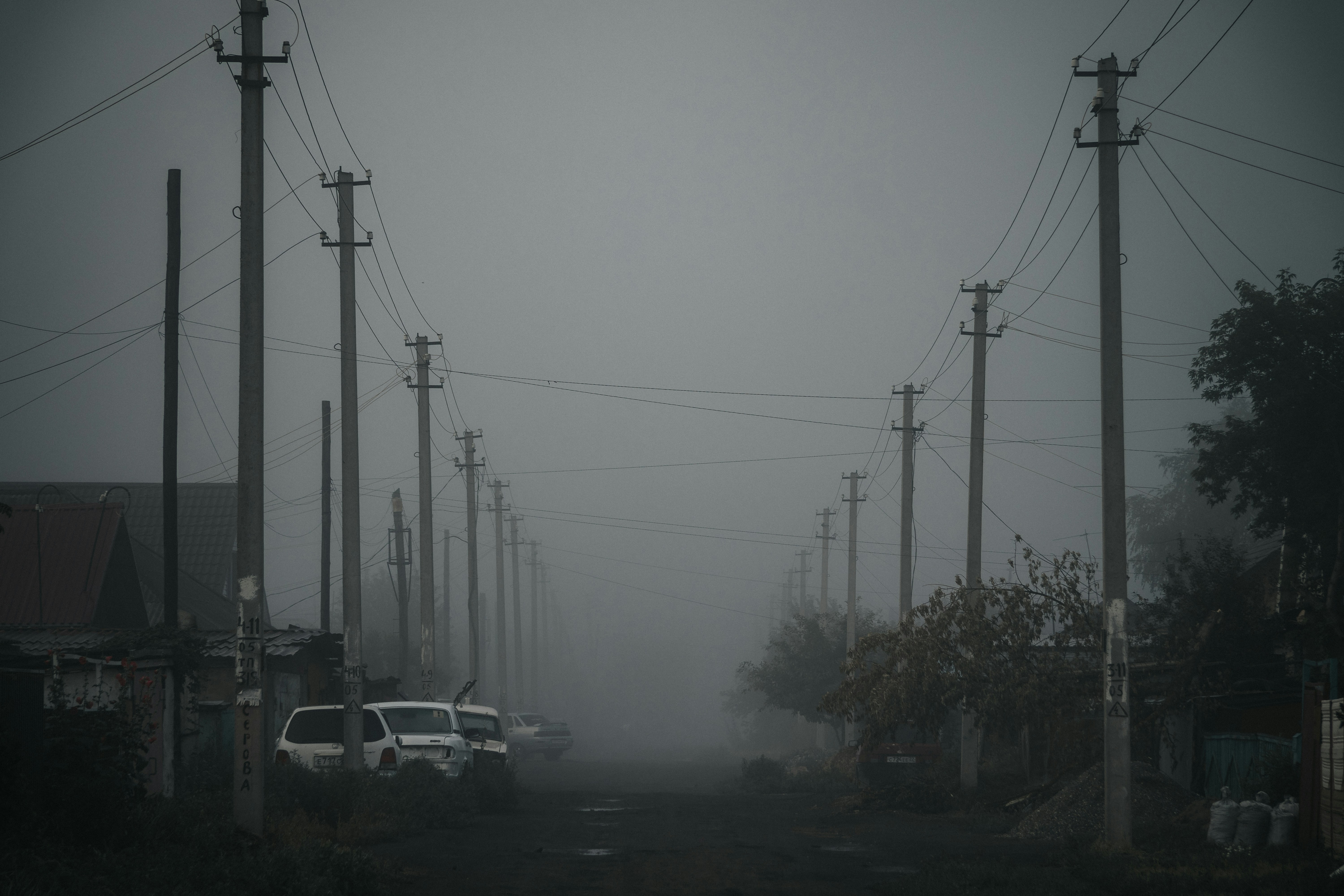 Photo by rubtsovskcat