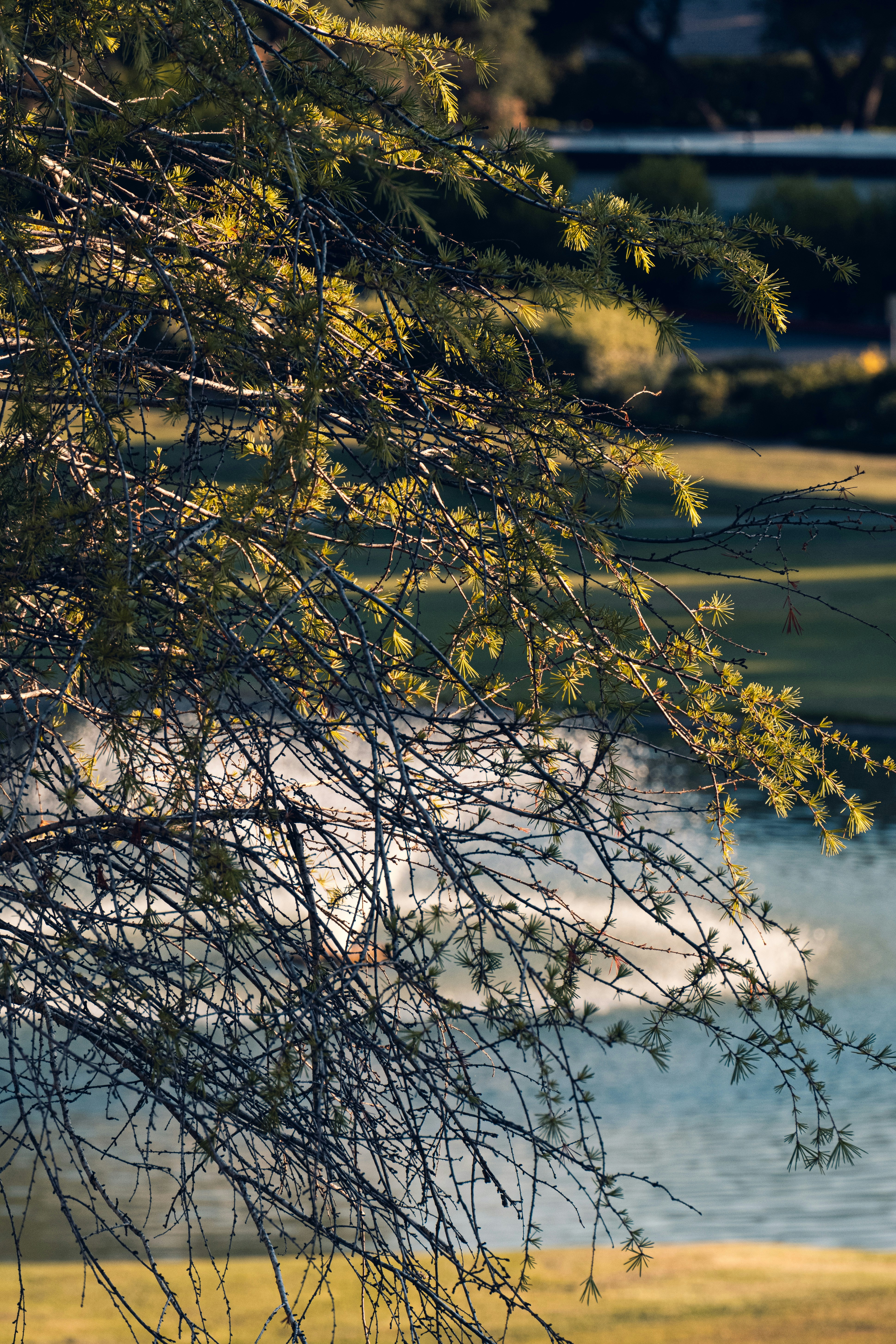 Photo by drizzy_bear86