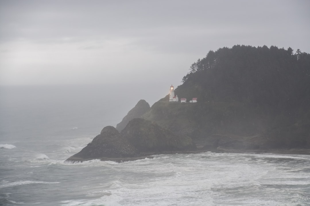 white lighthouse on top of brown rock formation on sea during daytime
