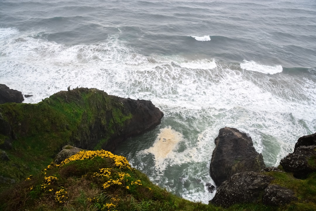 green and brown rock formation beside sea during daytime