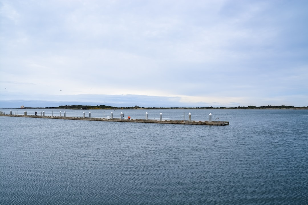 people walking on dock during daytime