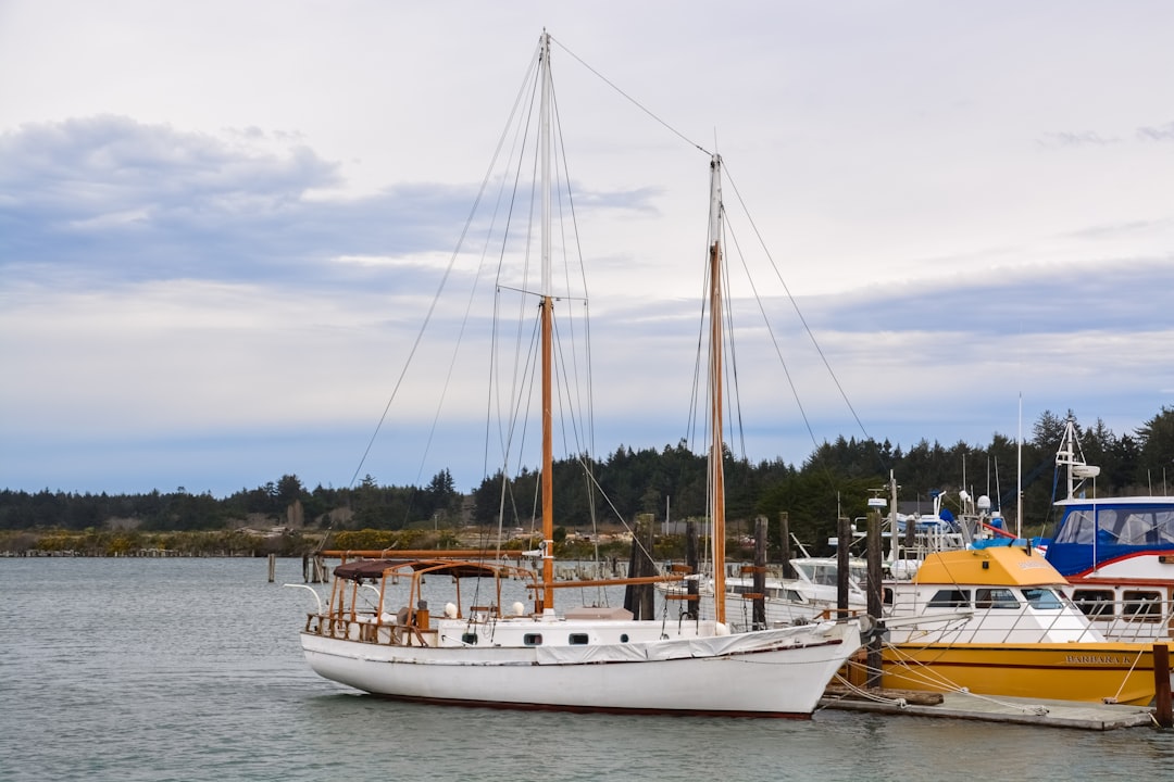 white and brown boat on sea during daytime