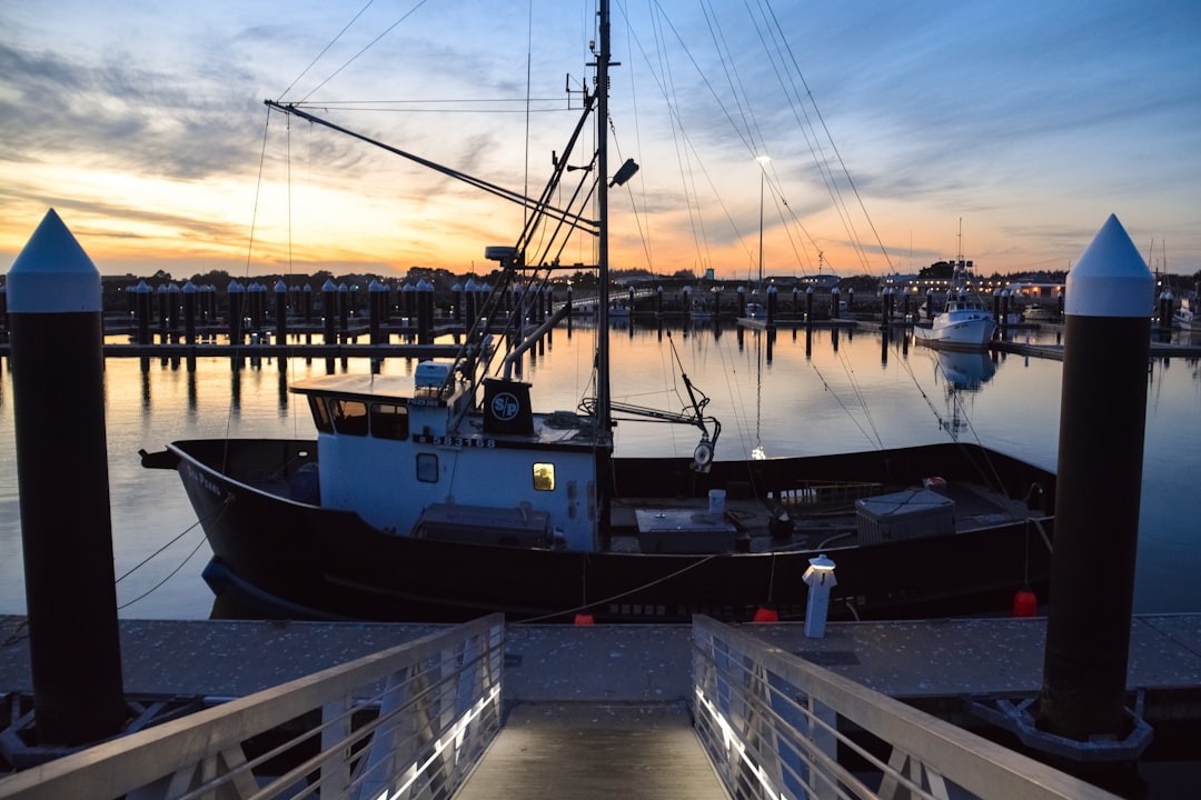 white and brown boat on dock during daytime