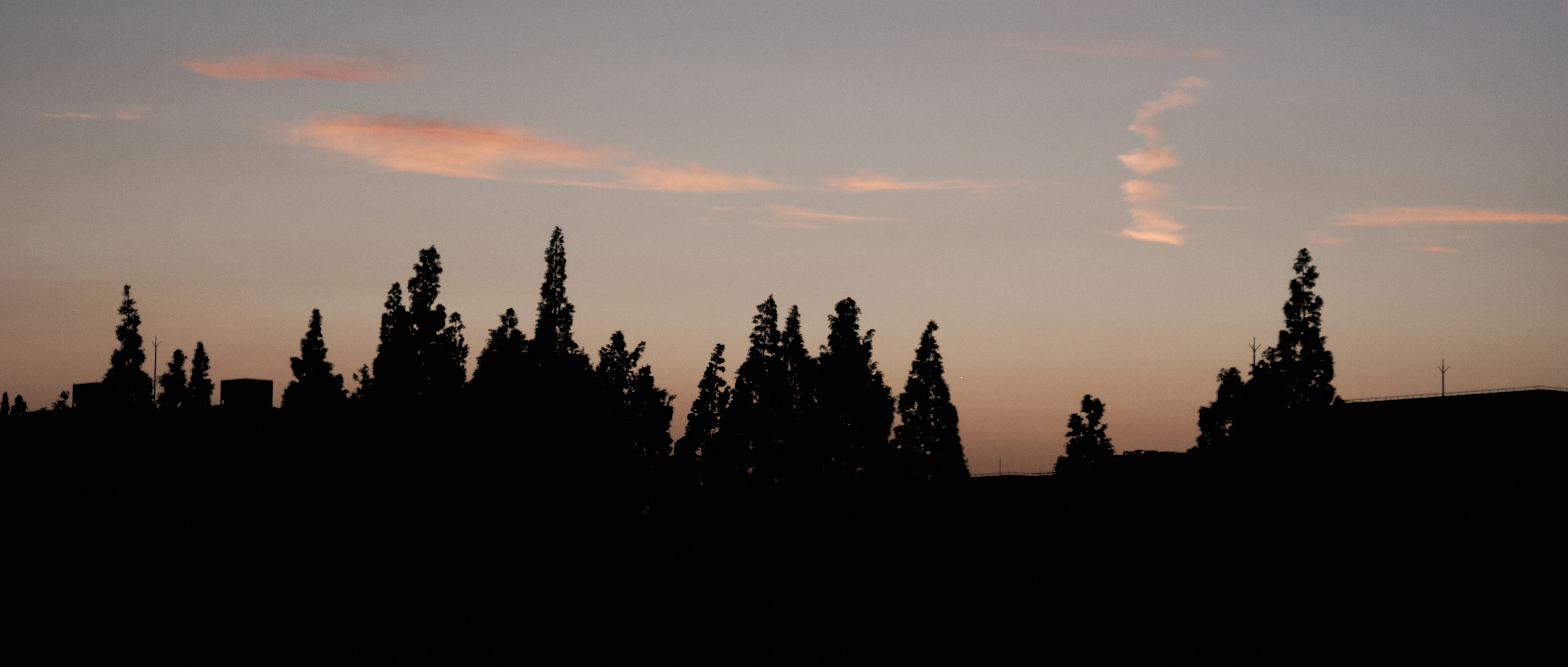Evening shot of the pension surrounded by pine trees under a colorful sunset sky.