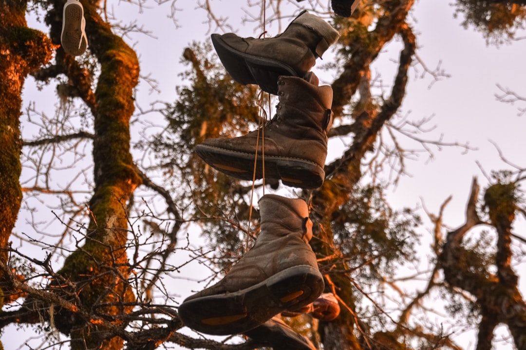 person in black pants and brown leather boots jumping on brown tree branch during daytime