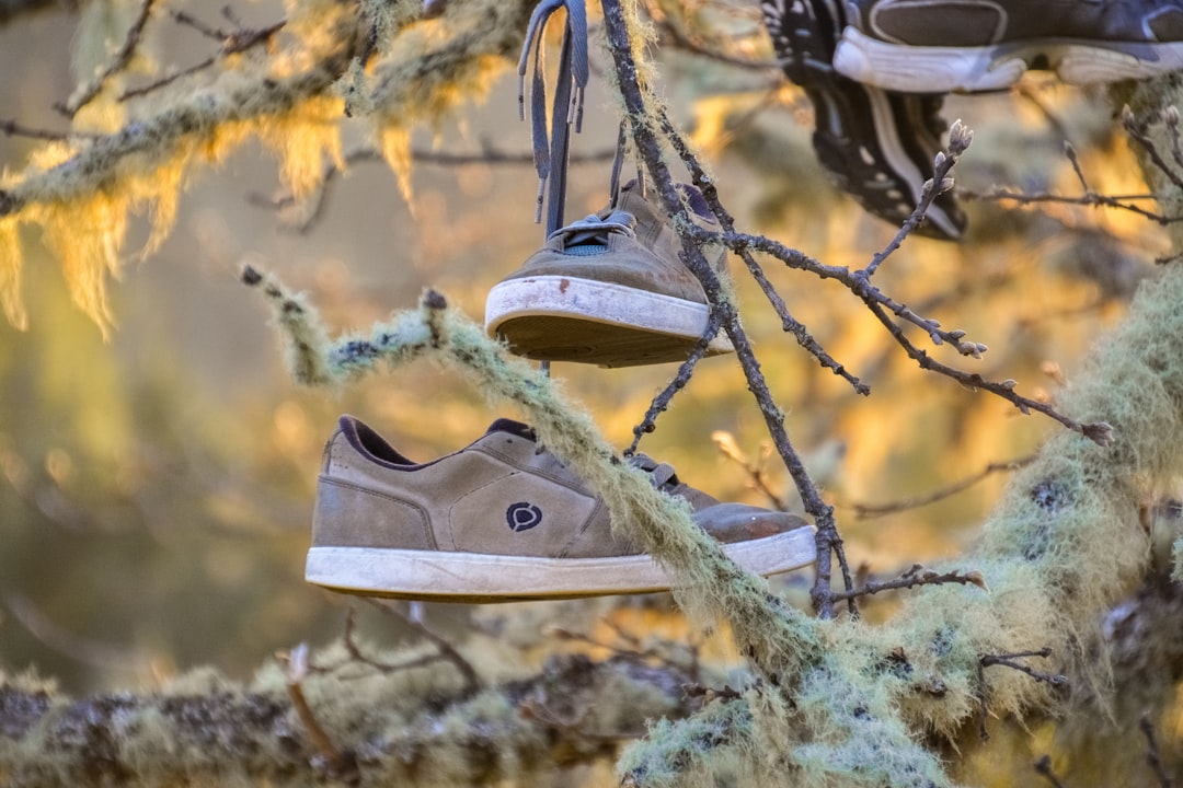 brown and white nike sneakers hanging on brown tree branch