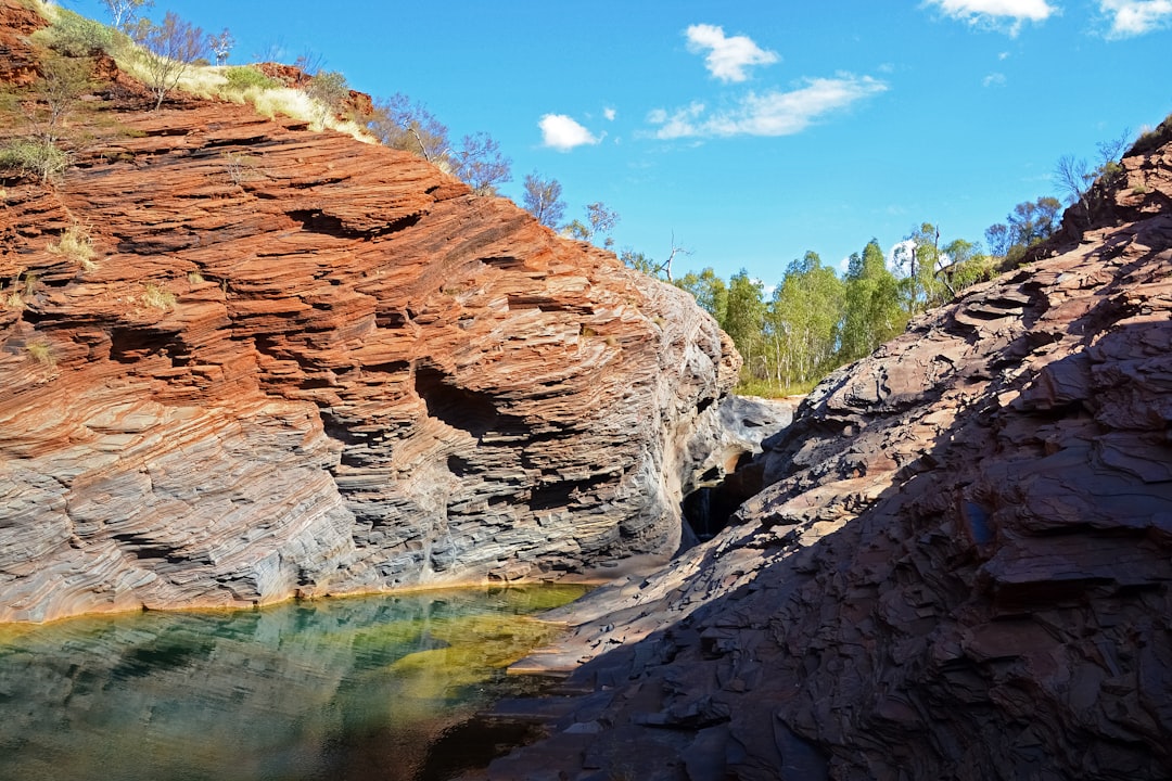 brown rock formation near green trees and body of water during daytime