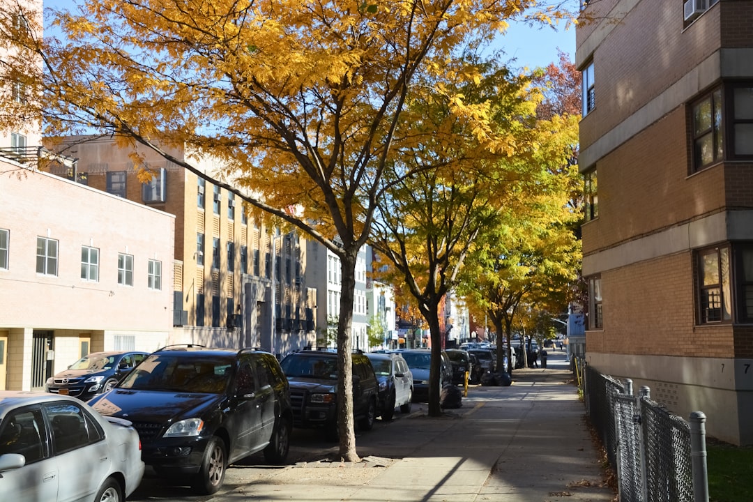 cars parked on sidewalk near trees and buildings during daytime