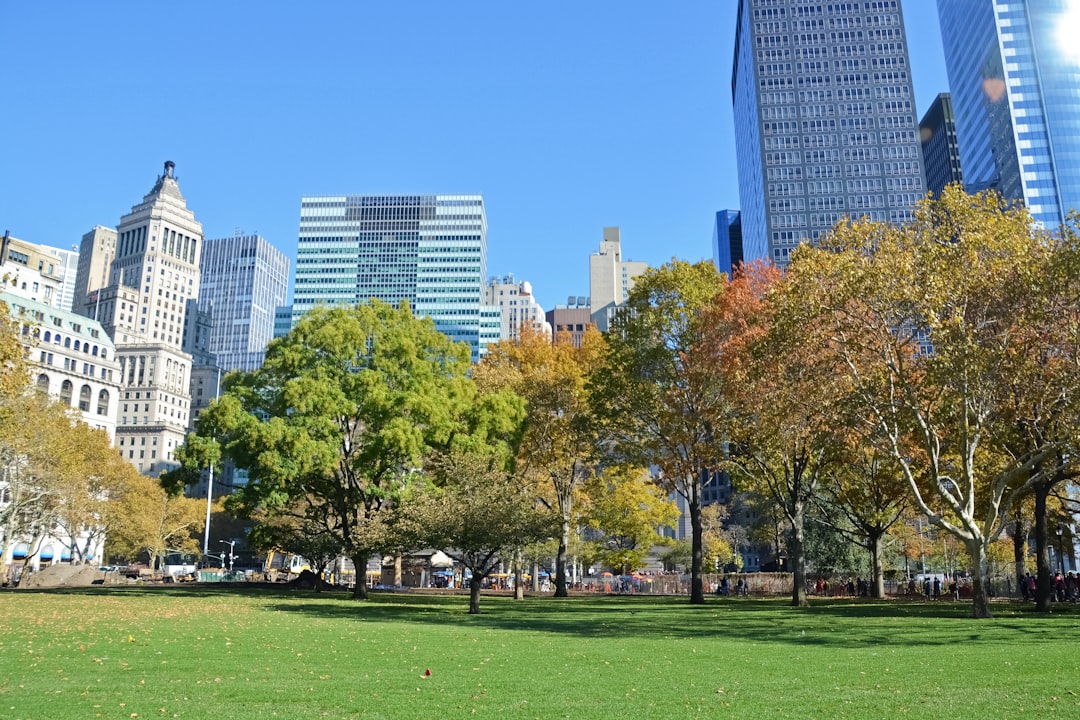 green grass field with trees and high rise buildings in distance