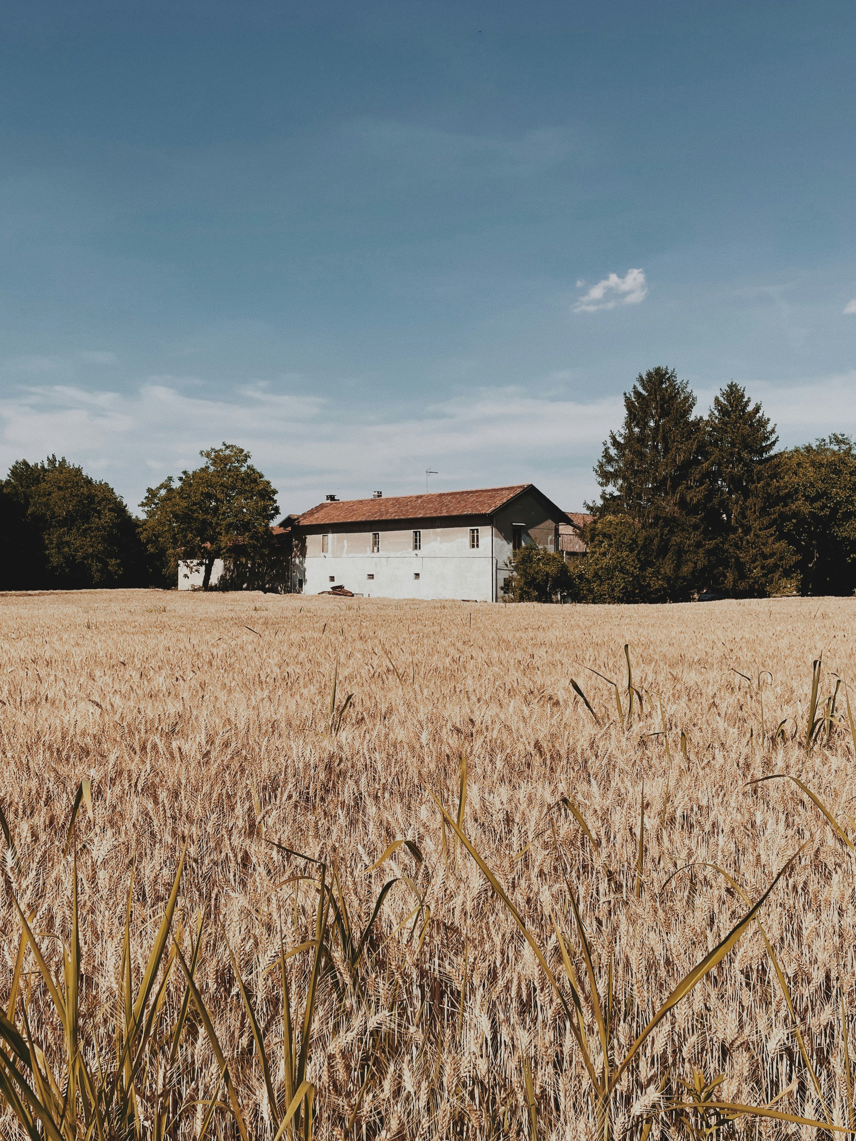 white and red house surrounded by brown grass field under blue sky during daytime