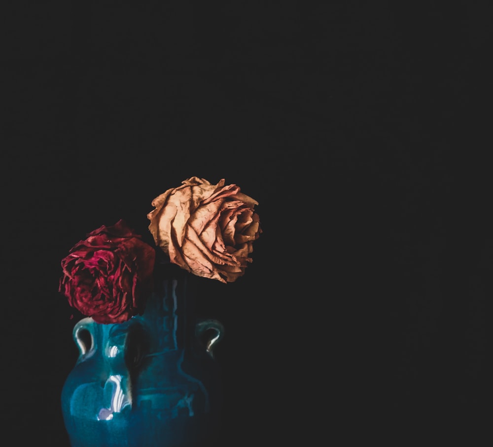 red roses in blue glass vase