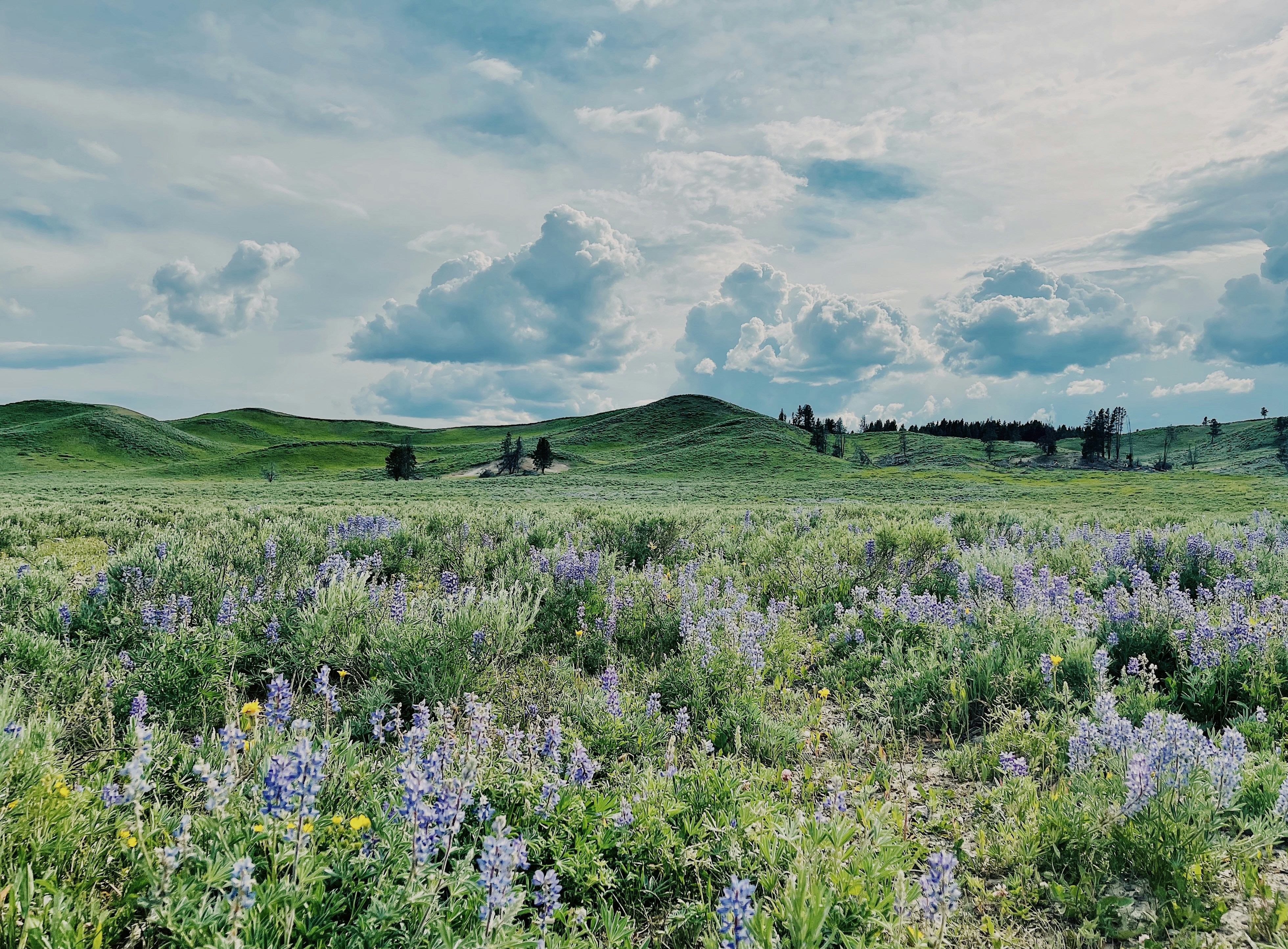 Prairie Basin Park