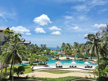 green palm trees near swimming pool under blue sky during daytime