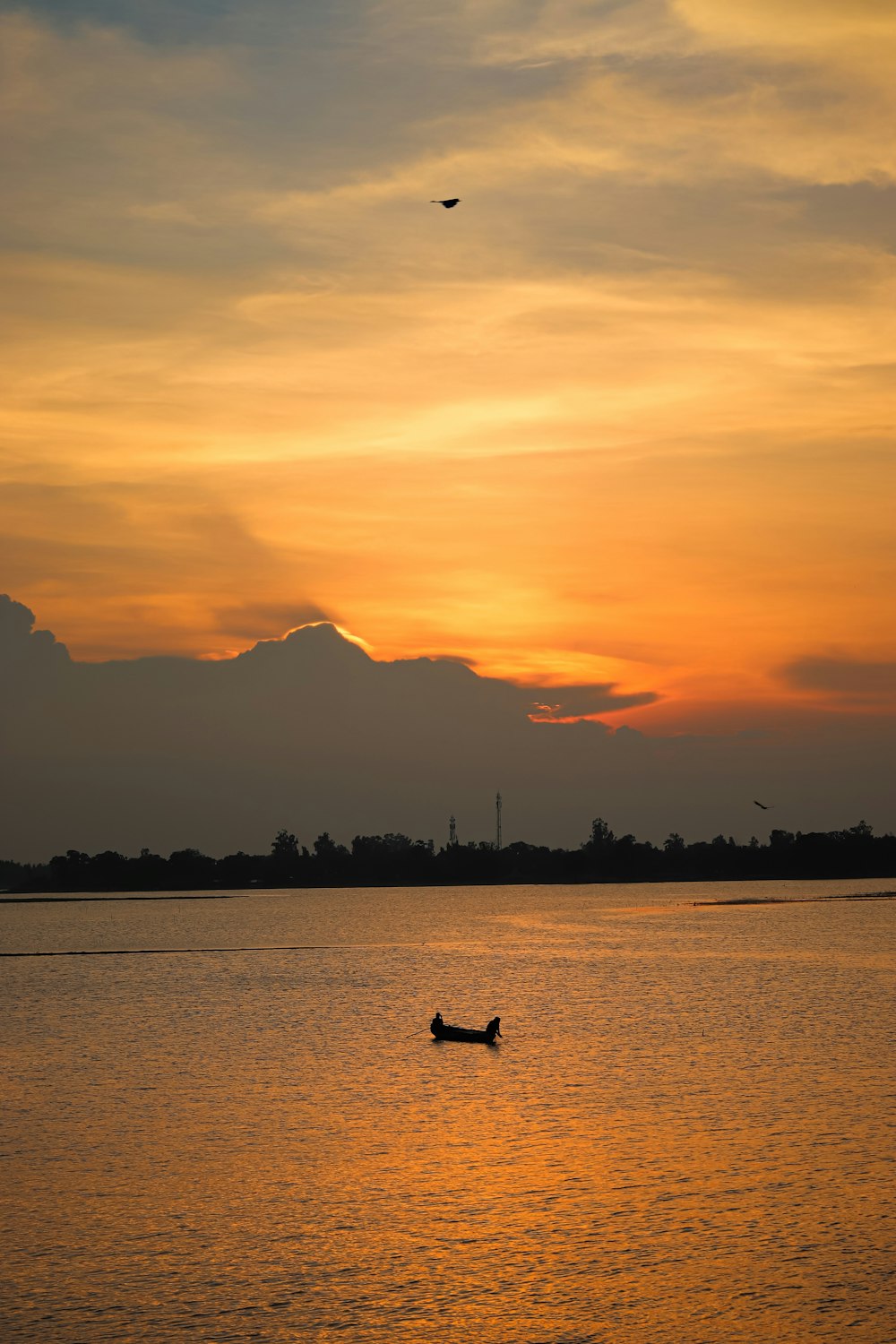 silhouette of person riding on boat on sea during sunset