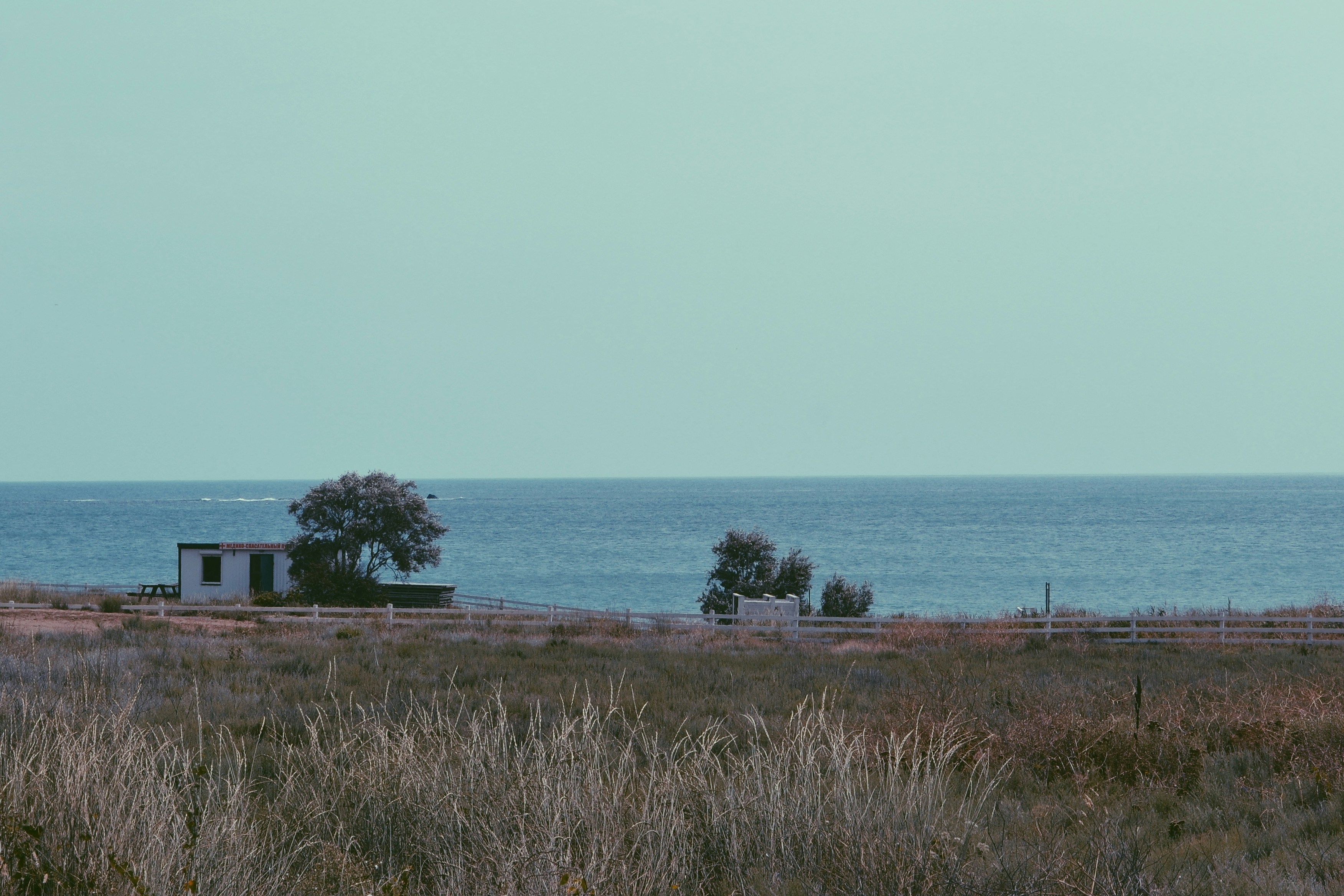green grass field near body of water during daytime, 