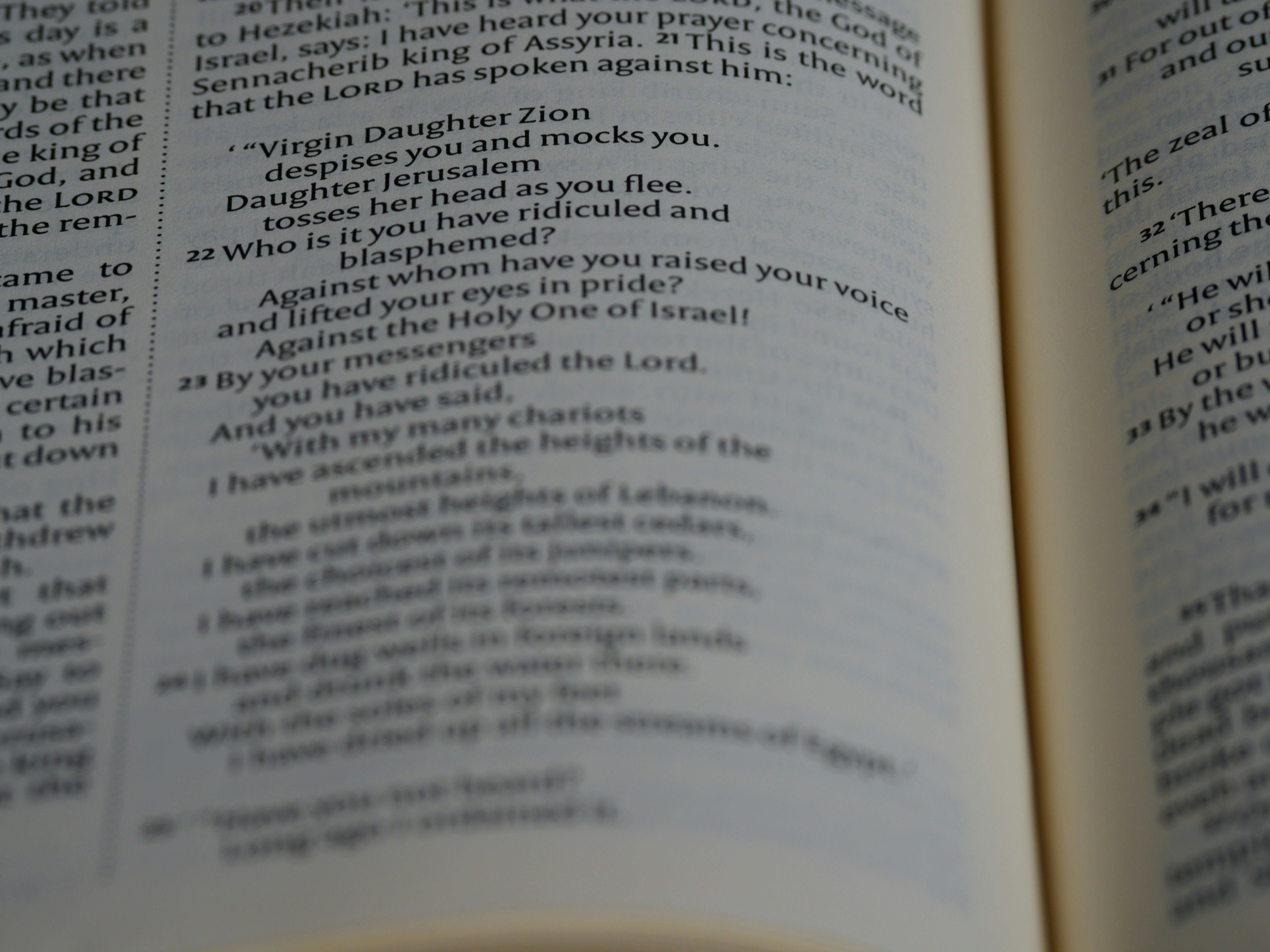 photo-1627453645097-dc982d458a94?ixid=M3wxMjA3fDB8MXxzZWFyY2h8MTJ8fGhleGVuemlya2VsJTIwY292ZW58ZW58MHx8fHwxNzYyMzQ3NTgwfDA\u0026ixlib=rb-4.1.0