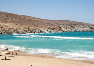 people on beach during daytime