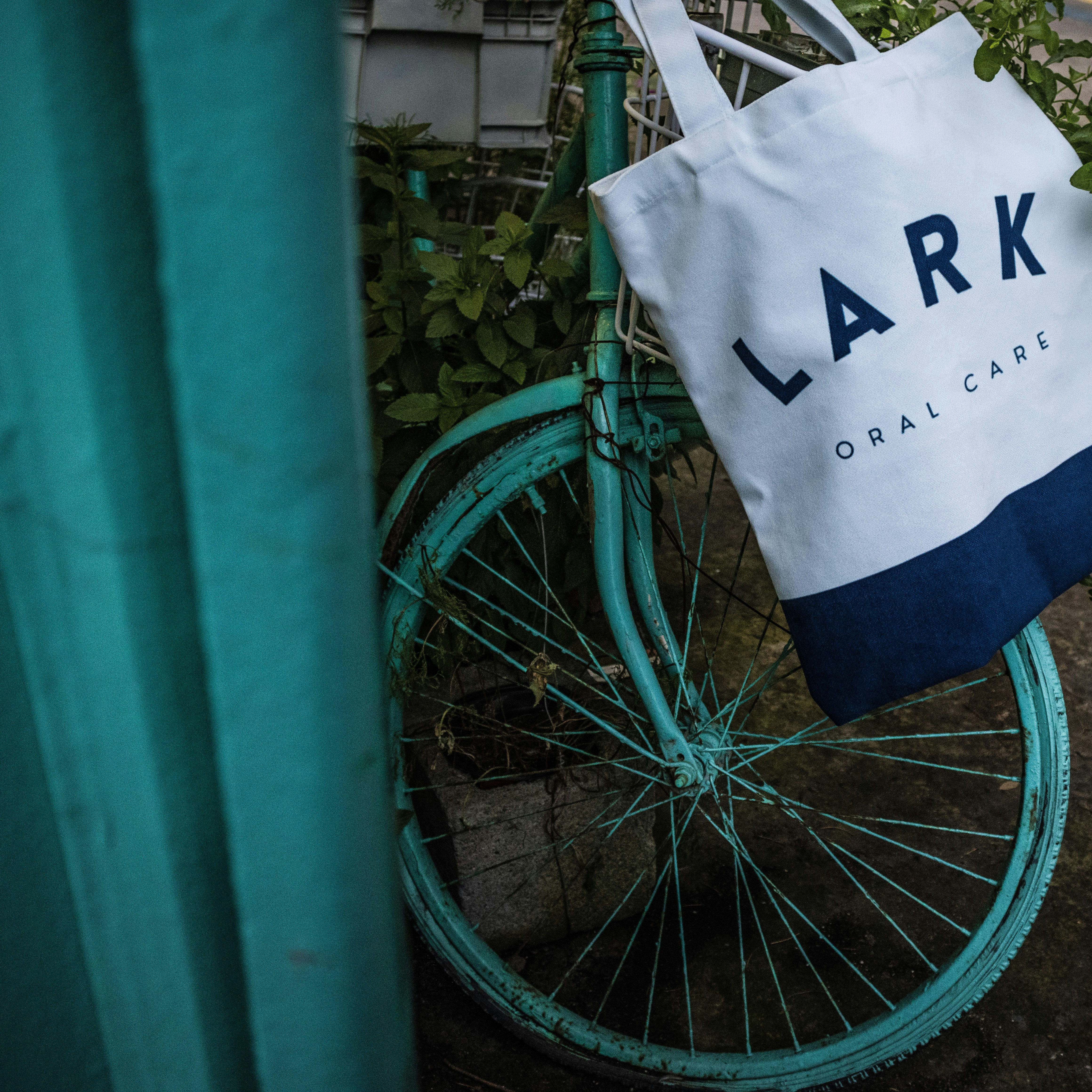 green bicycle wheel beside green wall