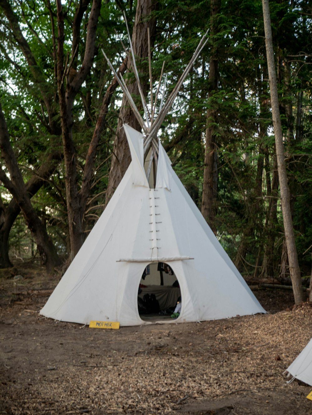 white tent in the middle of forest during daytime