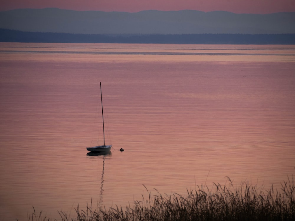 white boat on body of water during daytime