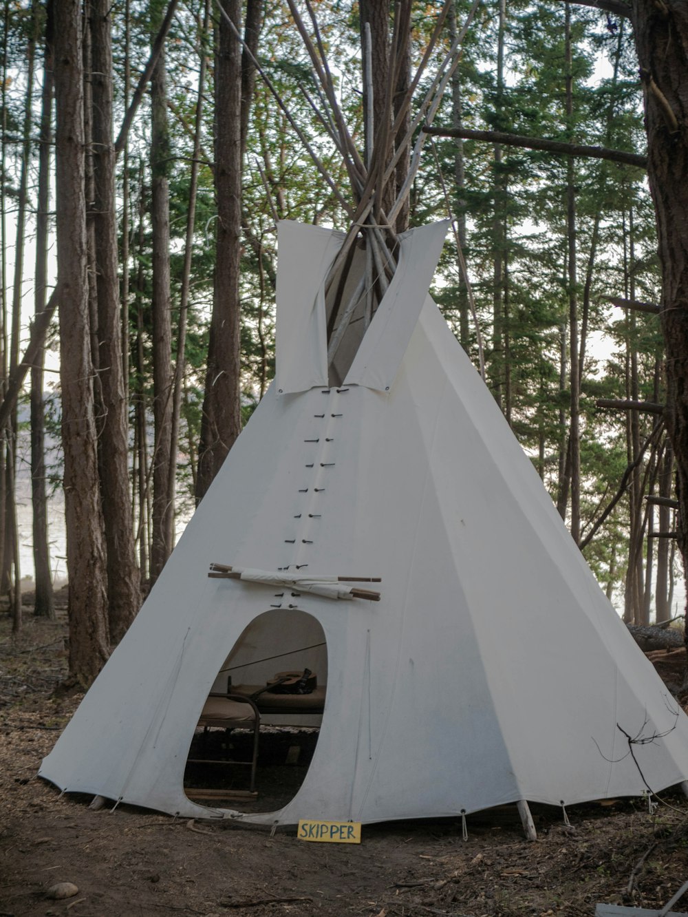 white tent in the woods