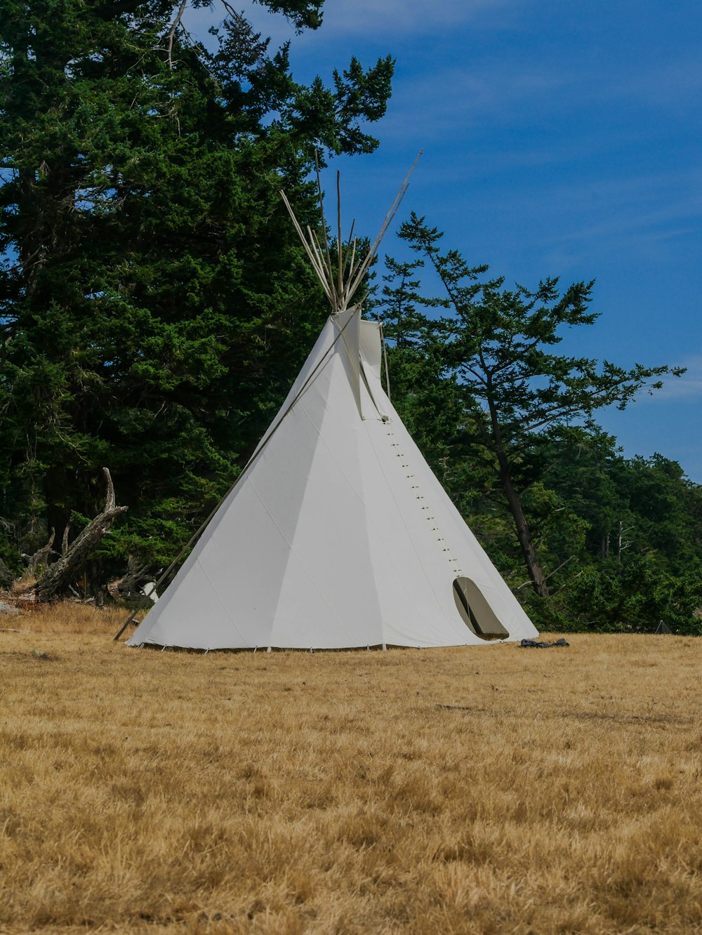 white tent on brown grass field during daytime