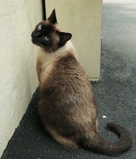 Photo 1627455577568 F7669be638a5?q=85&w=275&h=400&fit=crop