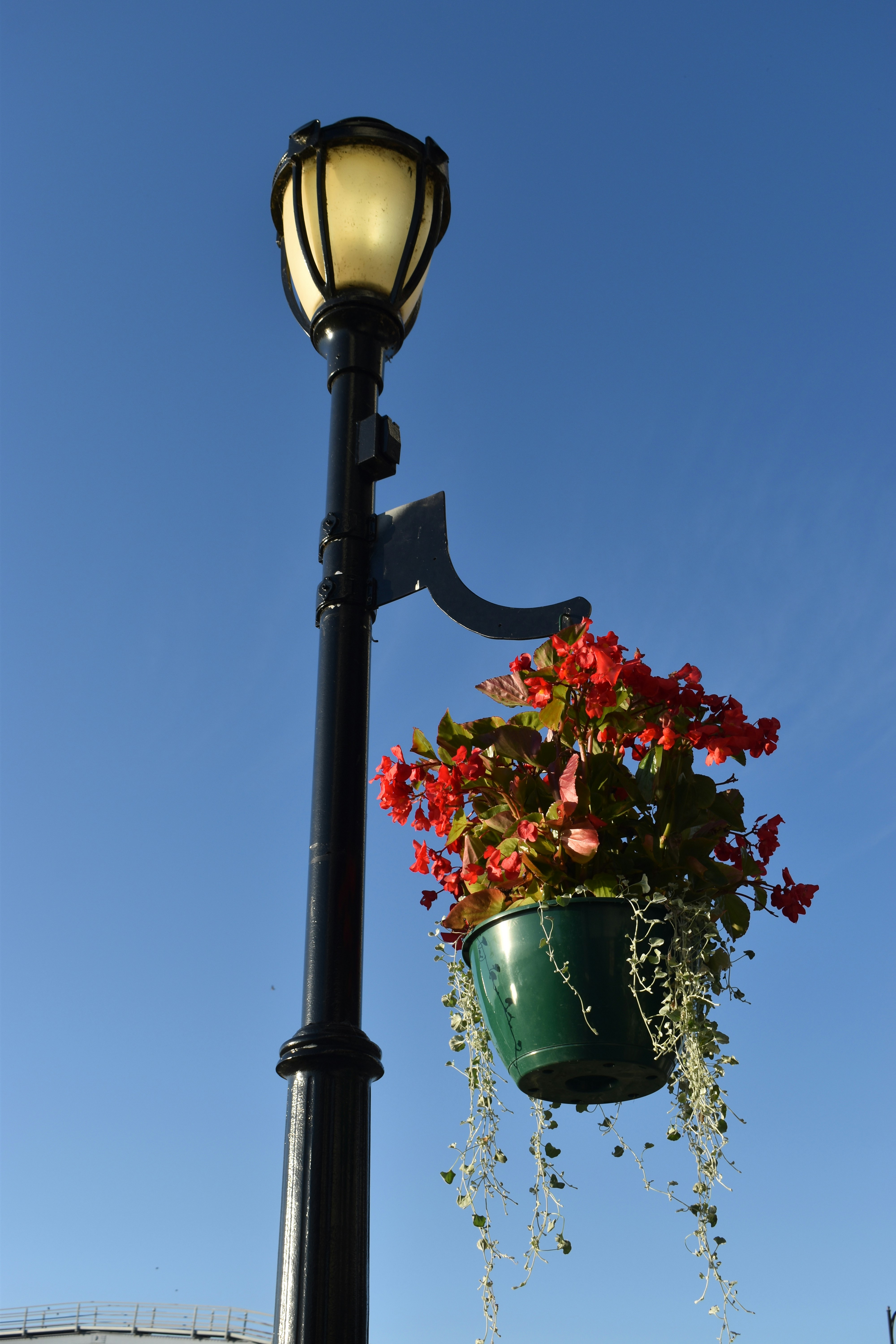 Photo by pictures102