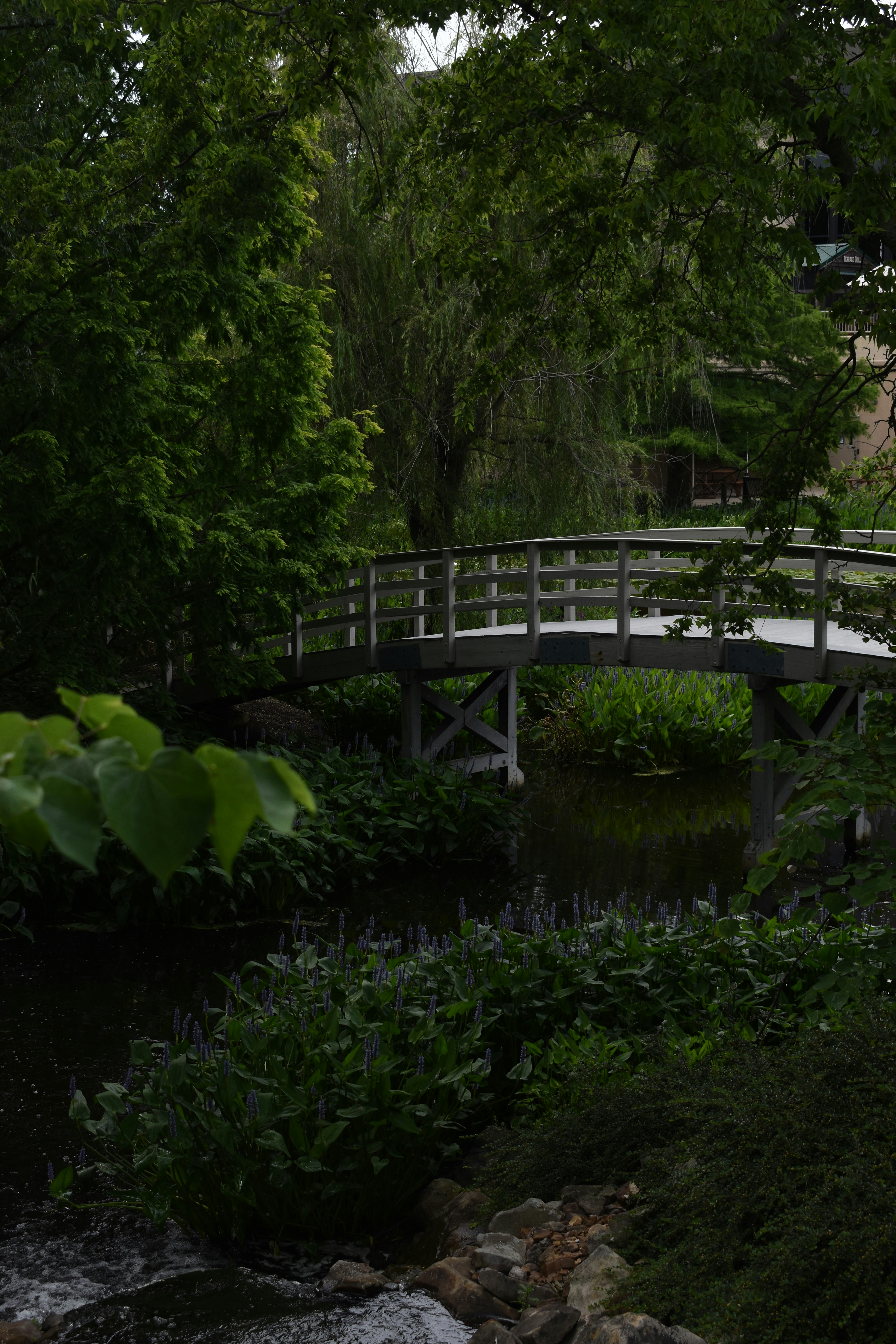 Photo by pictures102