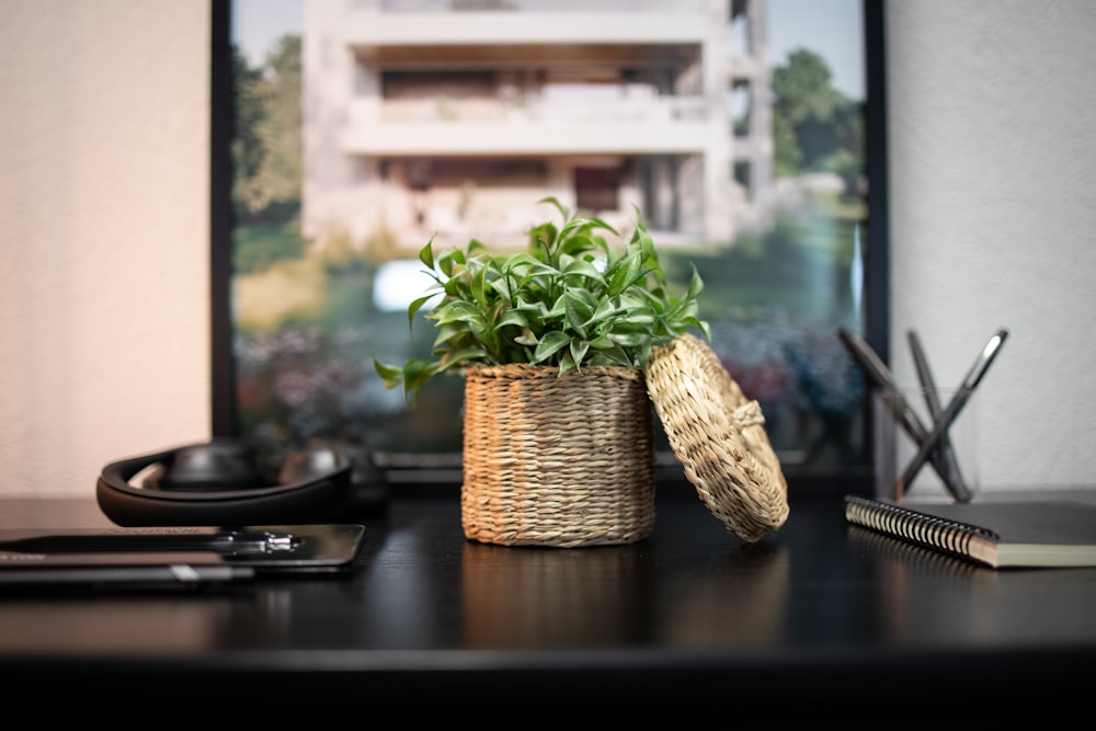 green plant on brown woven basket