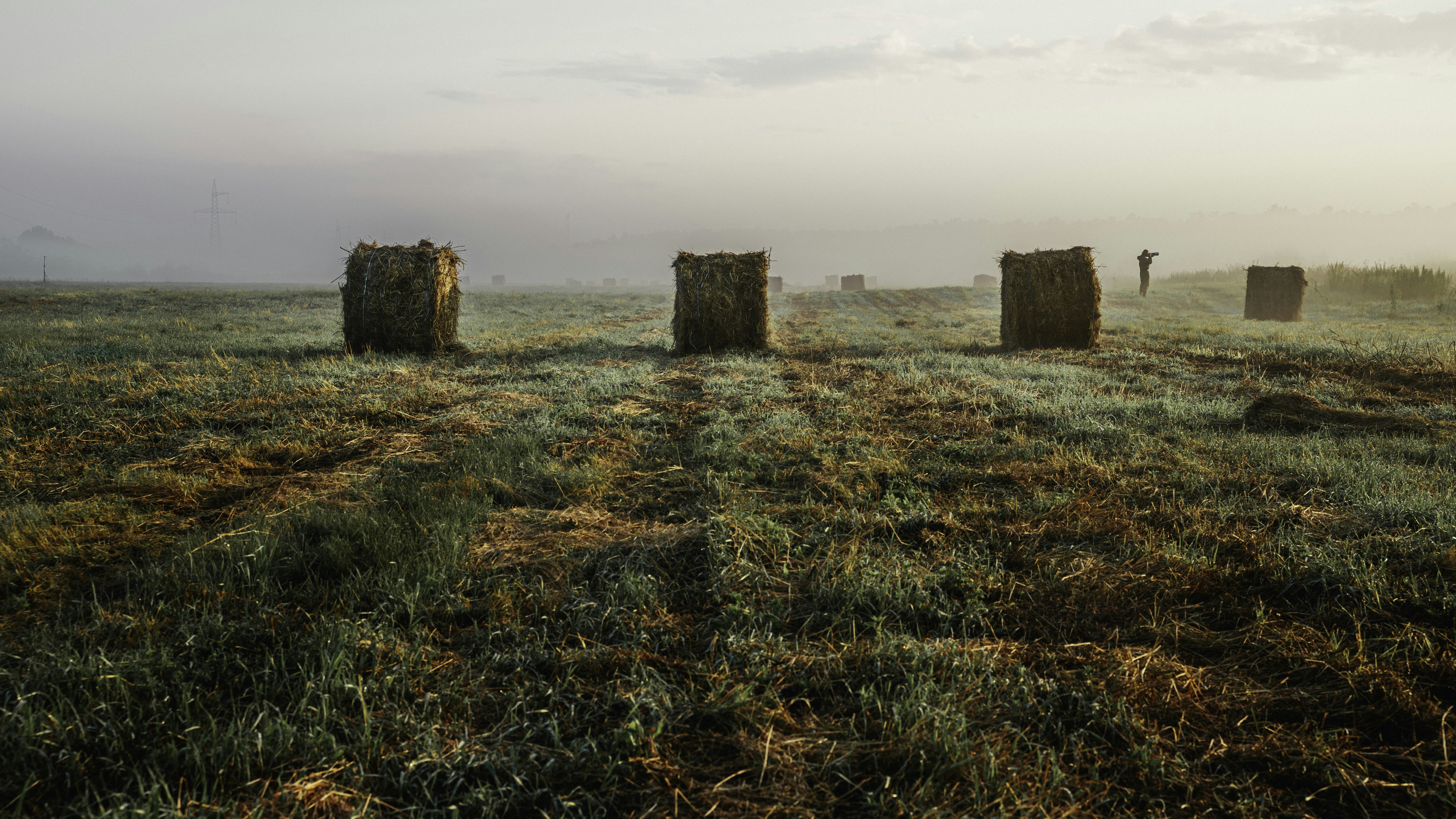 Photo by maksym_tymchyk