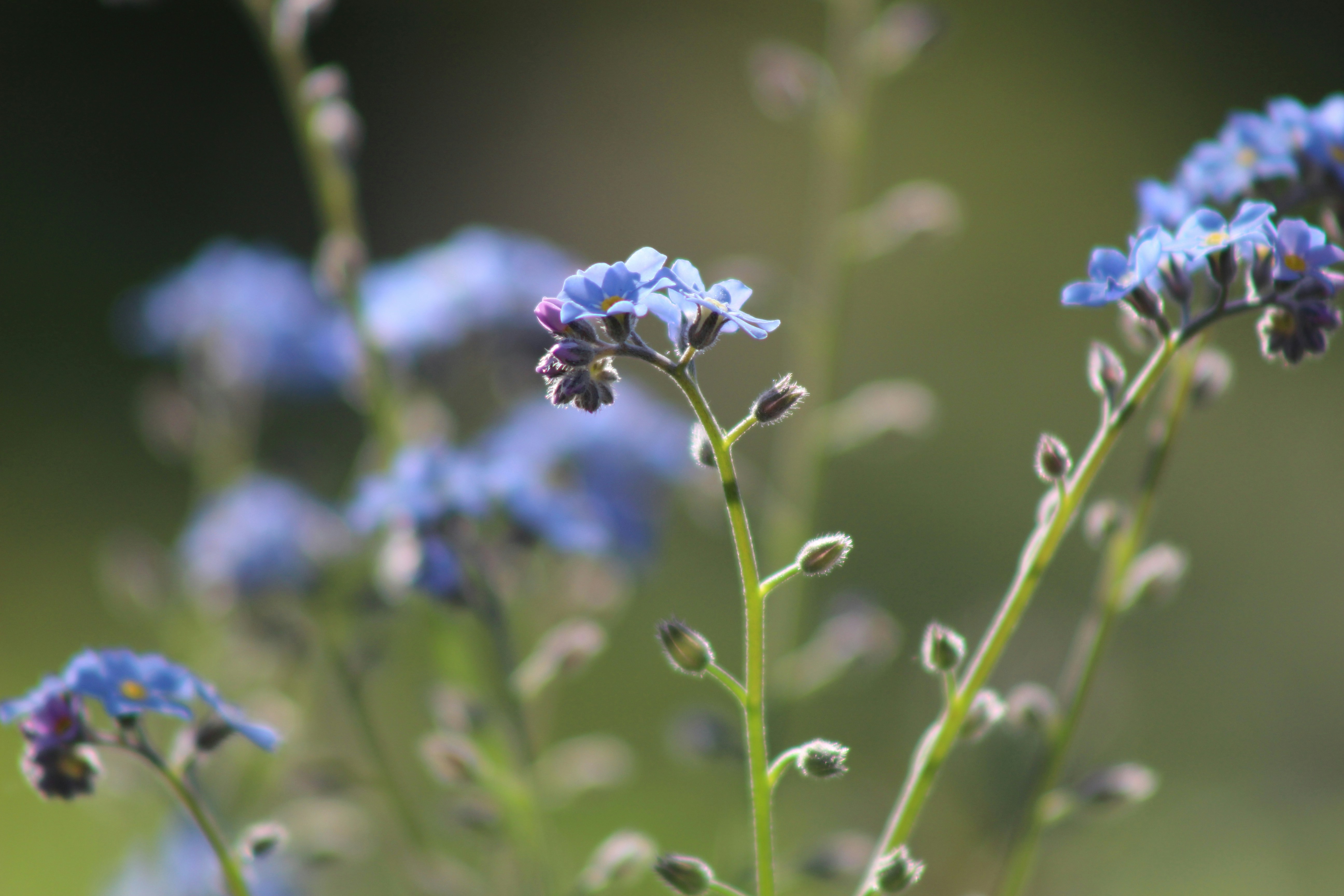 Photo by marjorylucabaxter