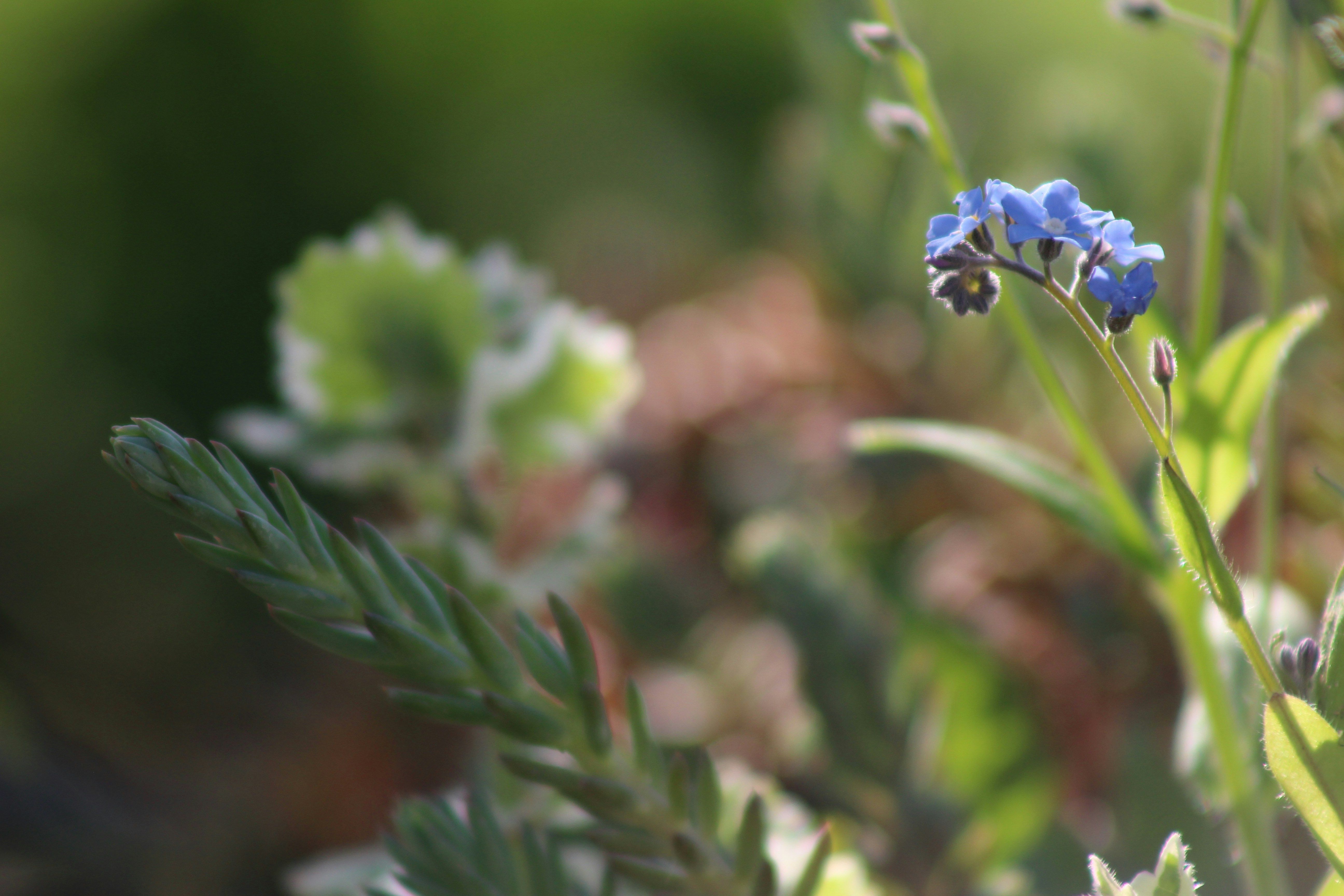 Photo by marjorylucabaxter