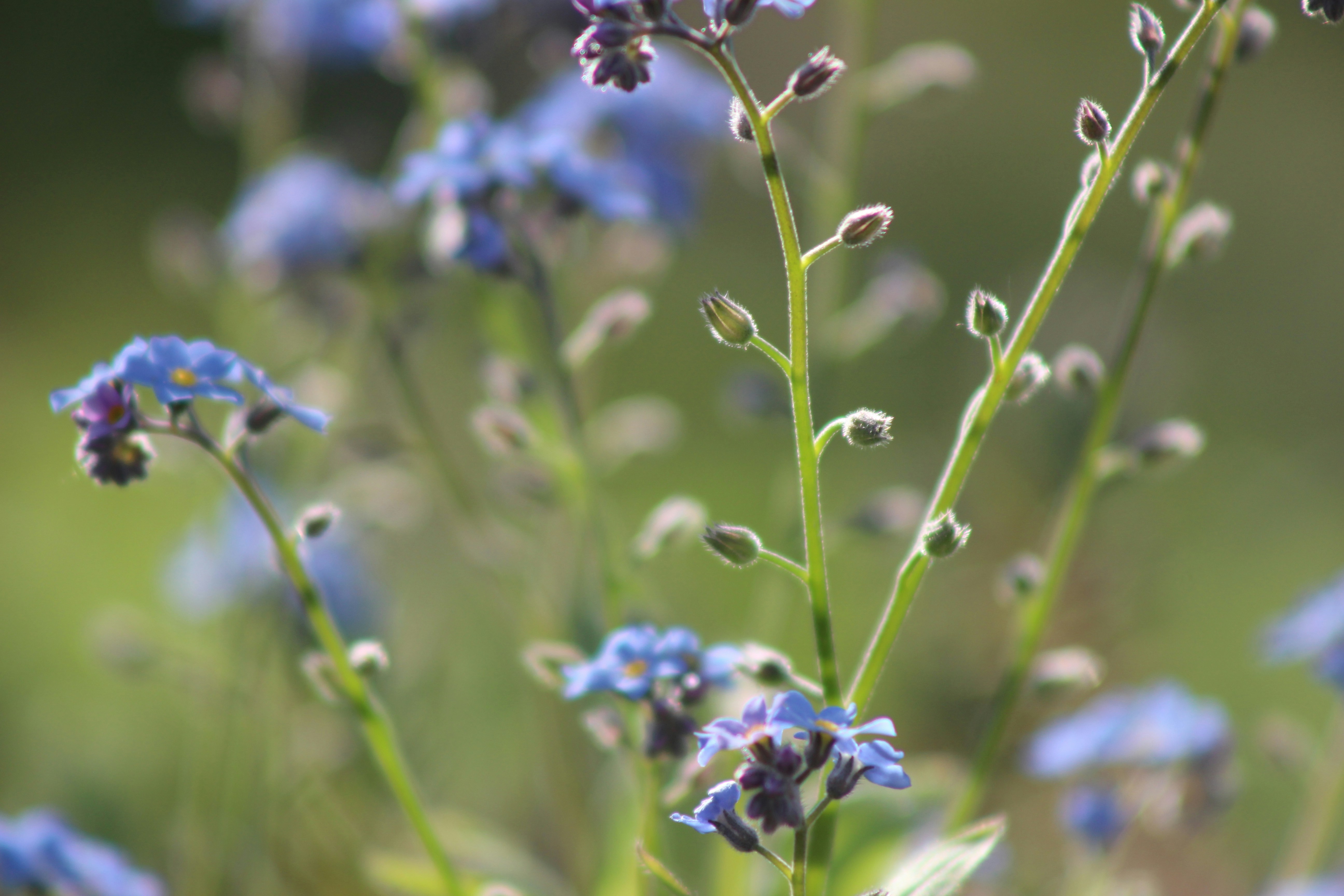 Photo by marjorylucabaxter